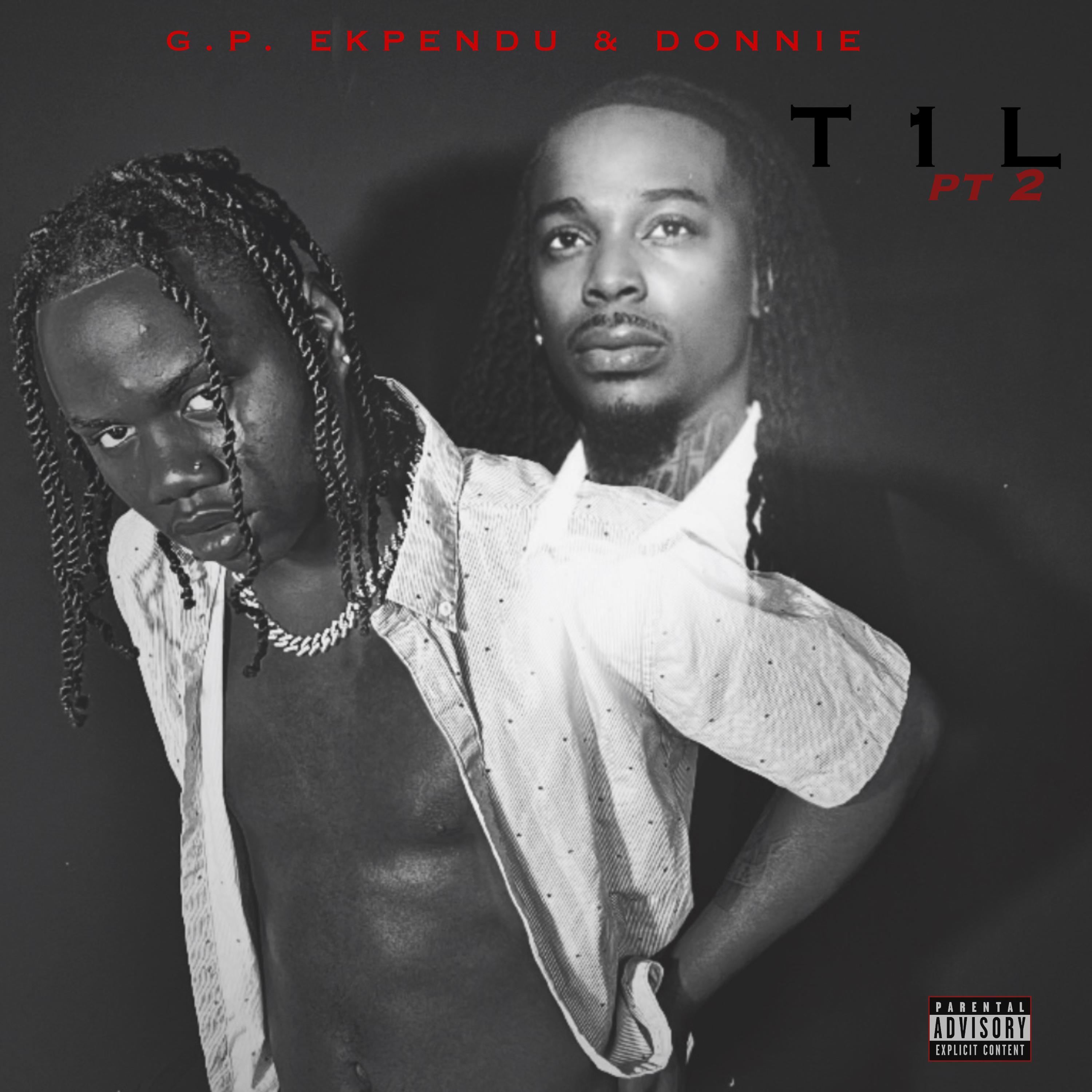 T 1 L,  pt. 2 artwork