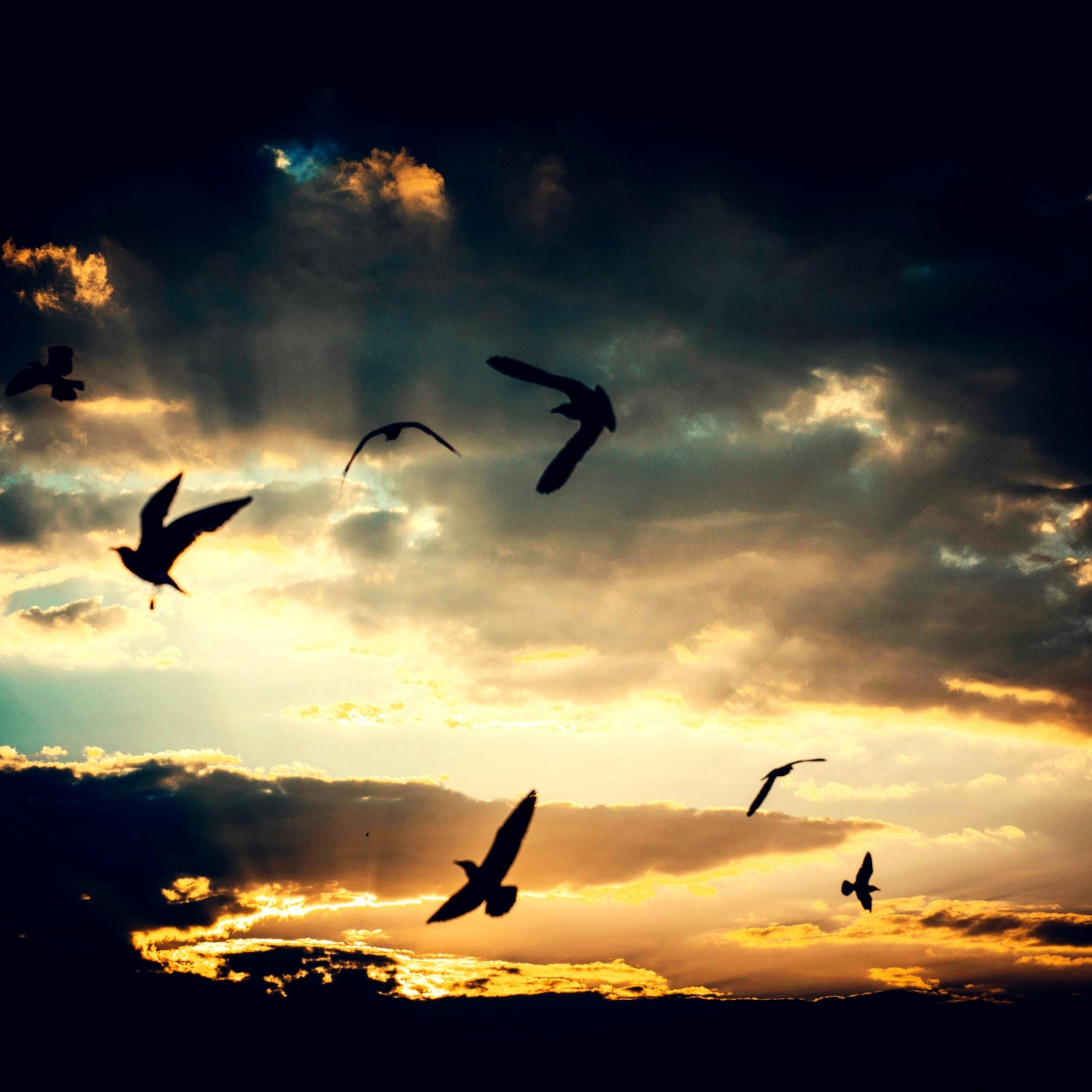 Stay Flying by Greyson Relix cover art