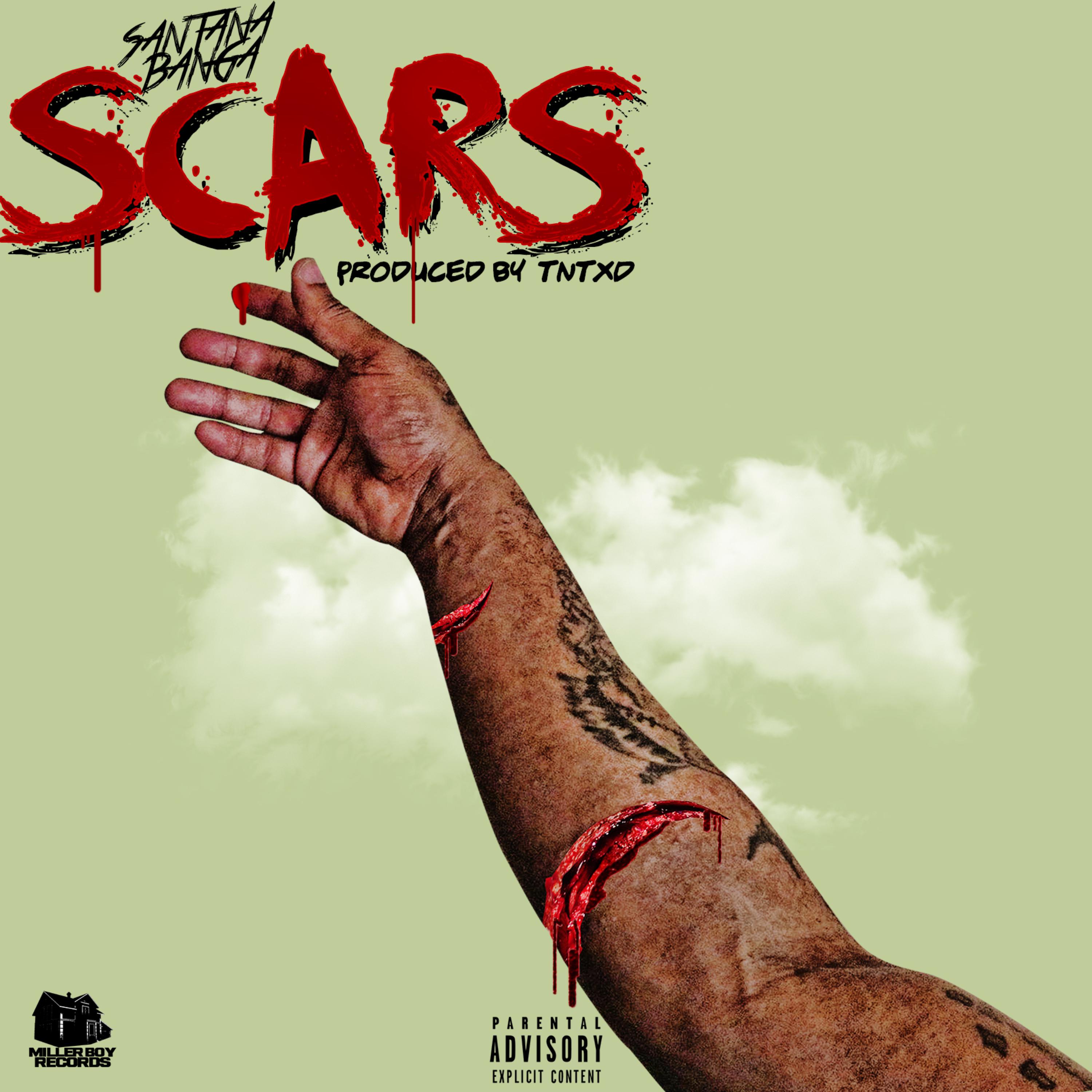 Scars artwork