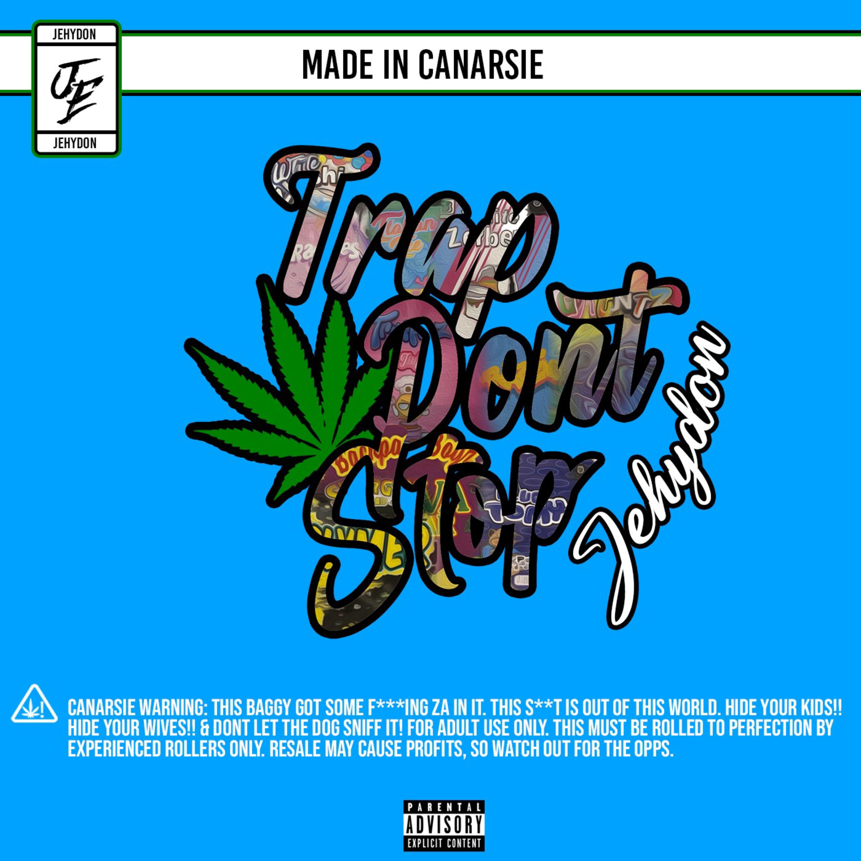 TRAP DONT STOP artwork