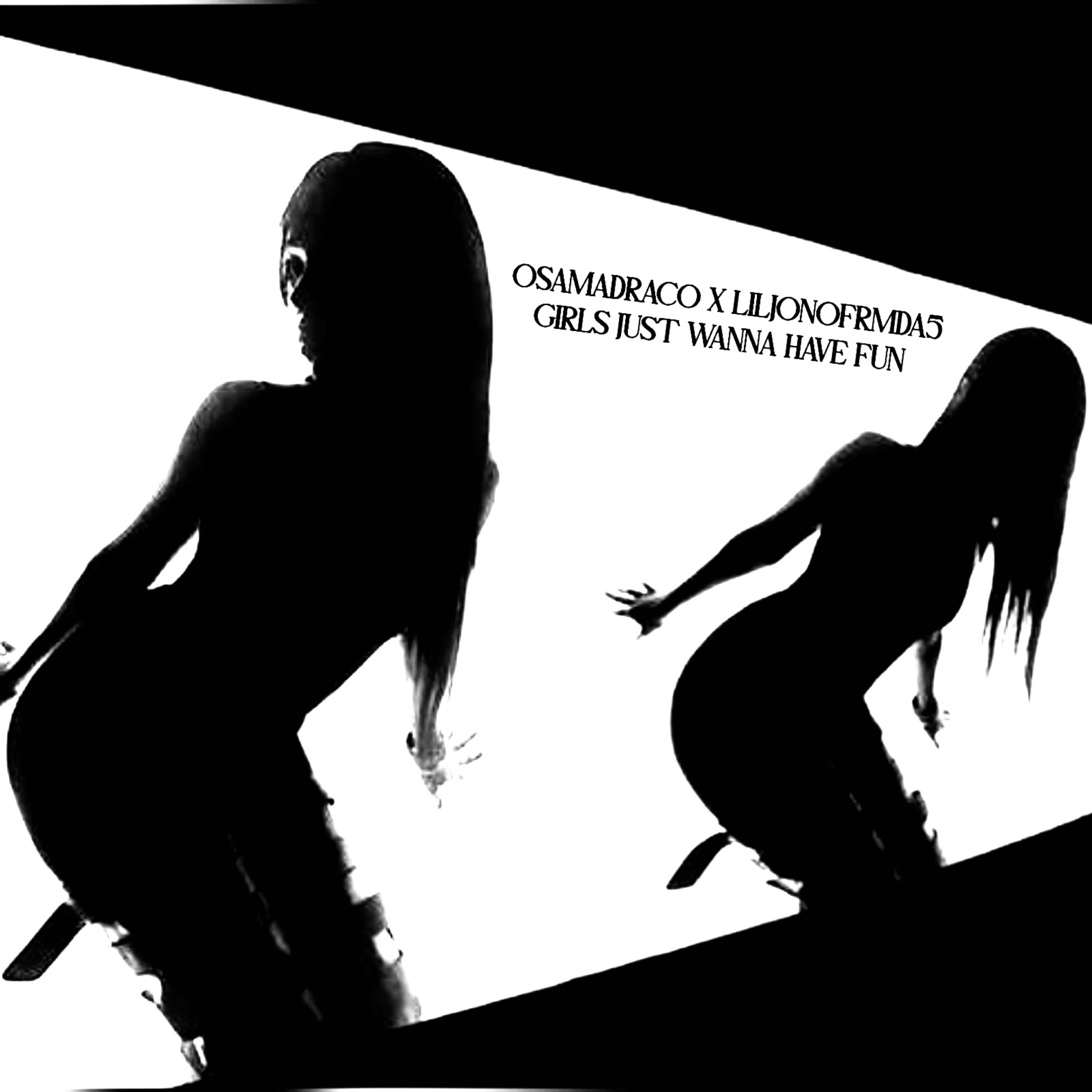 GIRLS JUST WANNA HAVE FUN artwork