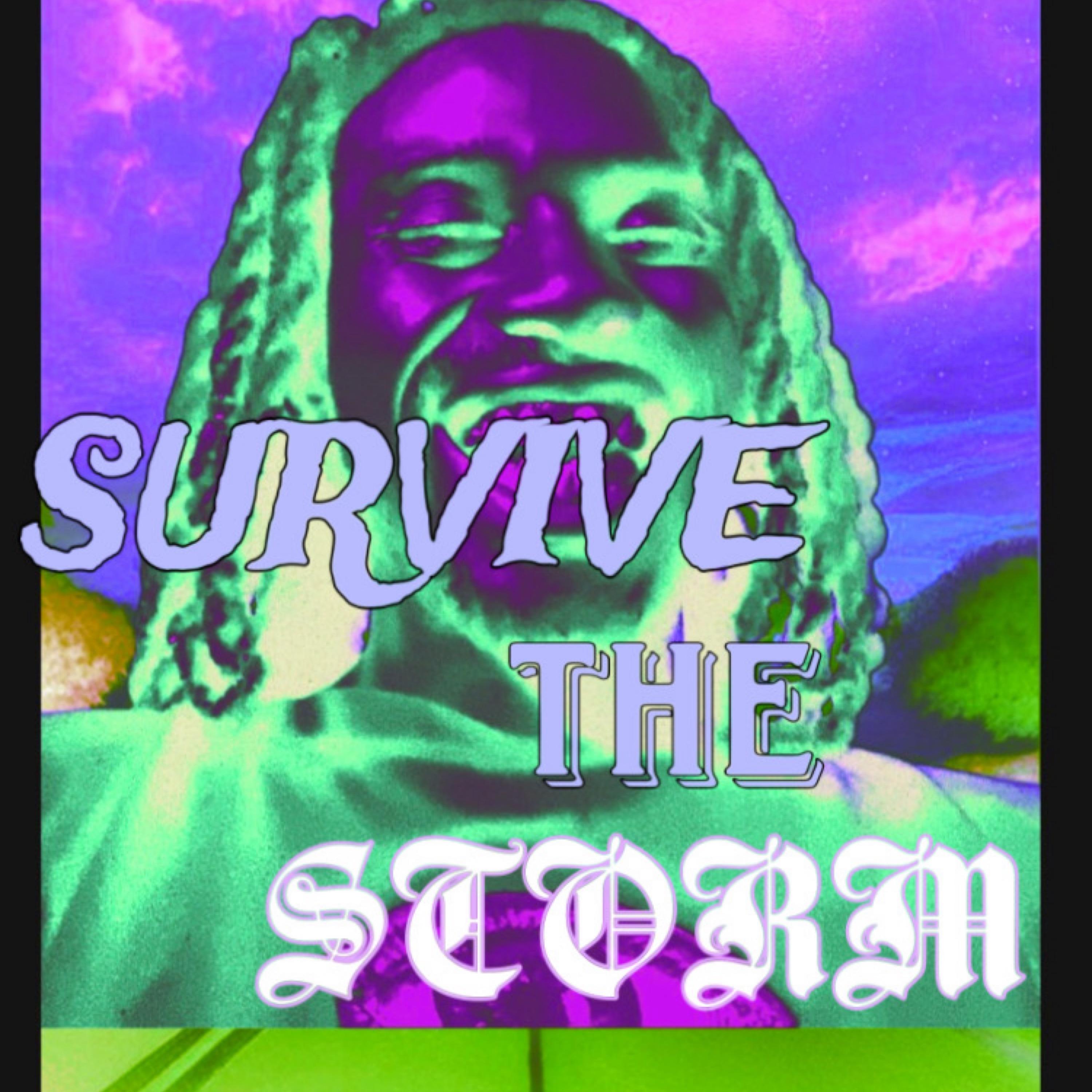 Survive The Storm artwork