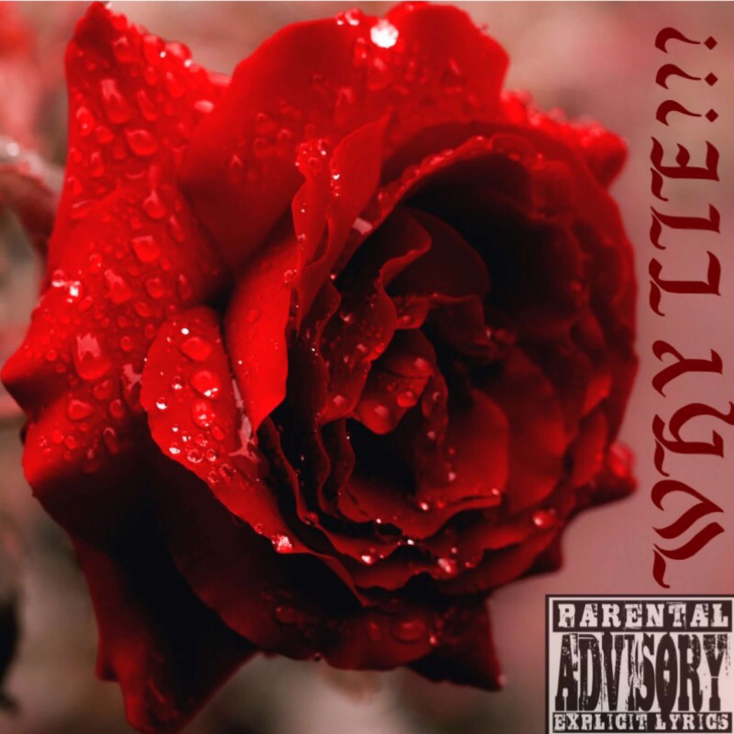 Why Lie artwork