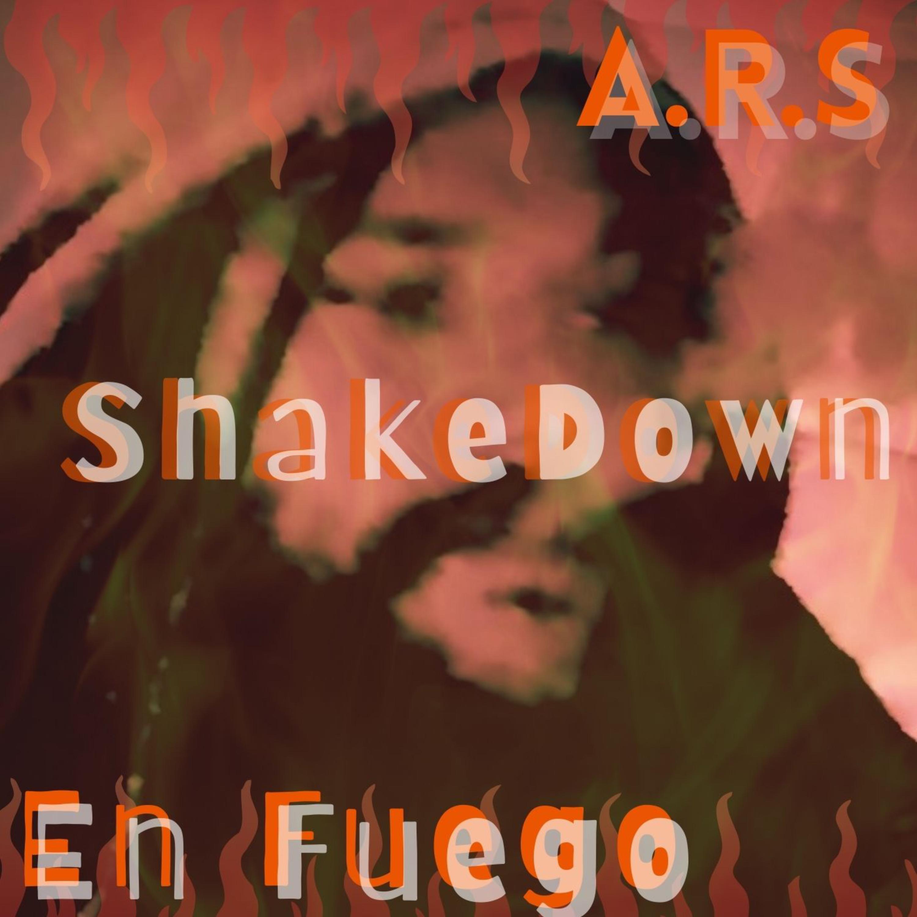 ShakeDown artwork