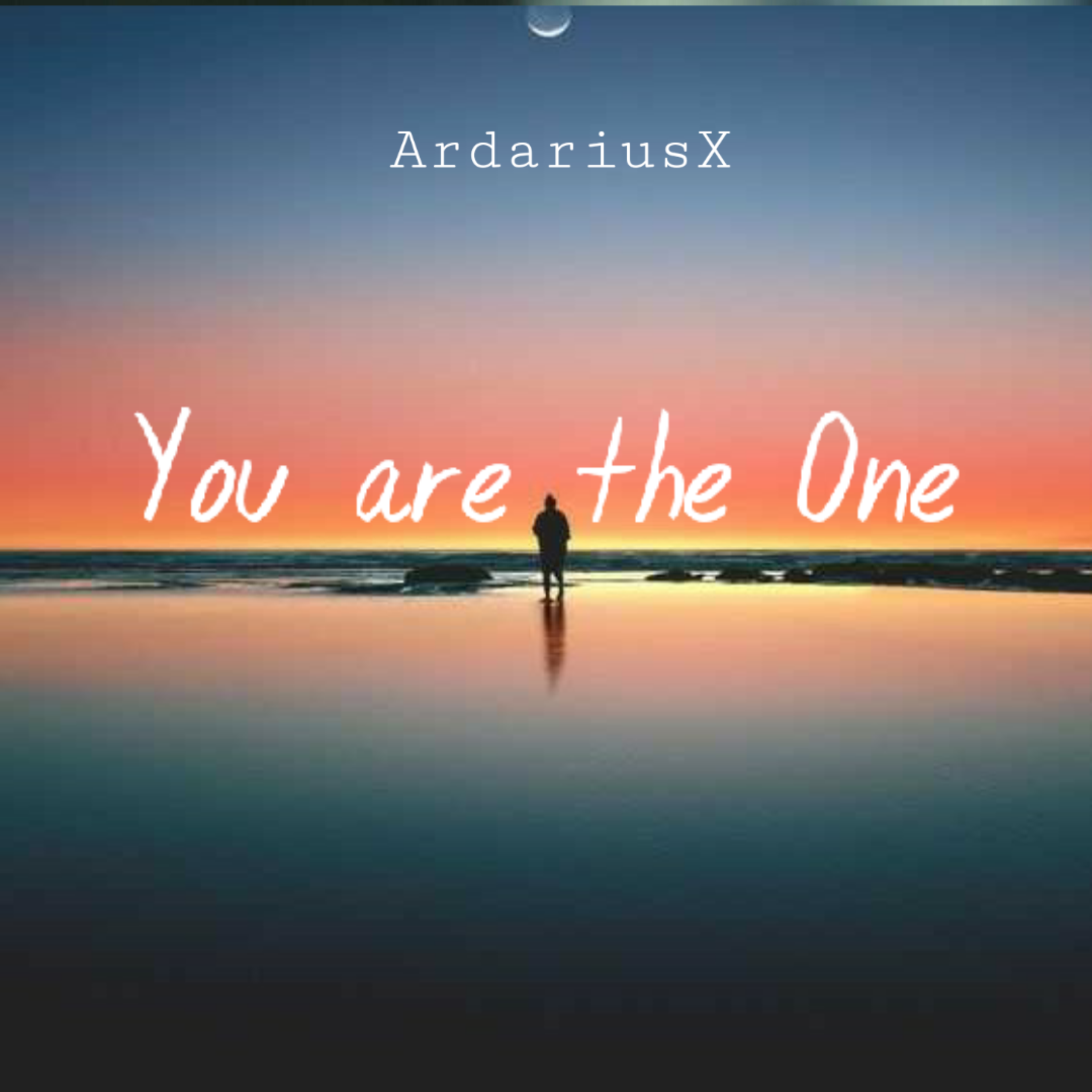 You Are The One! artwork