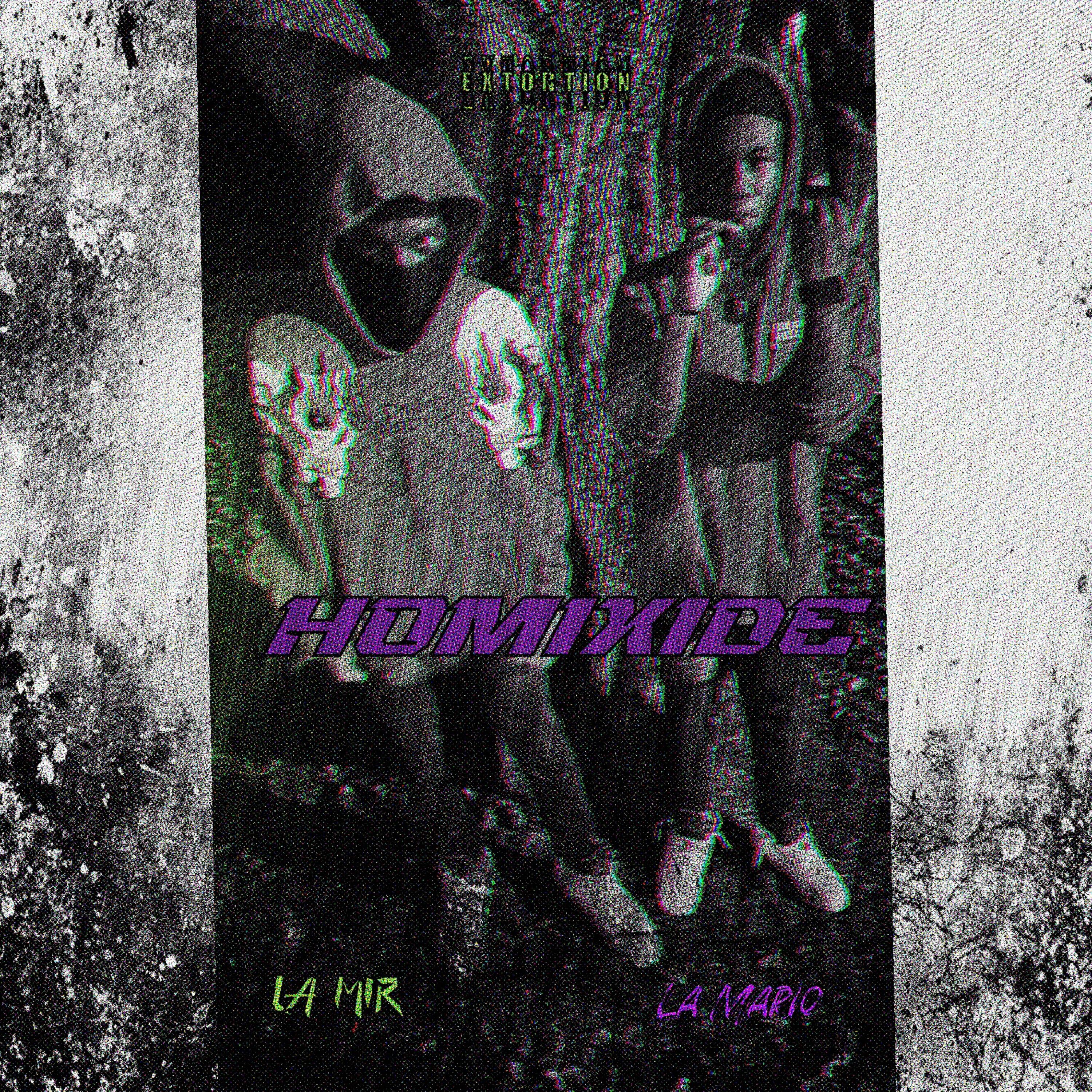Homixide artwork