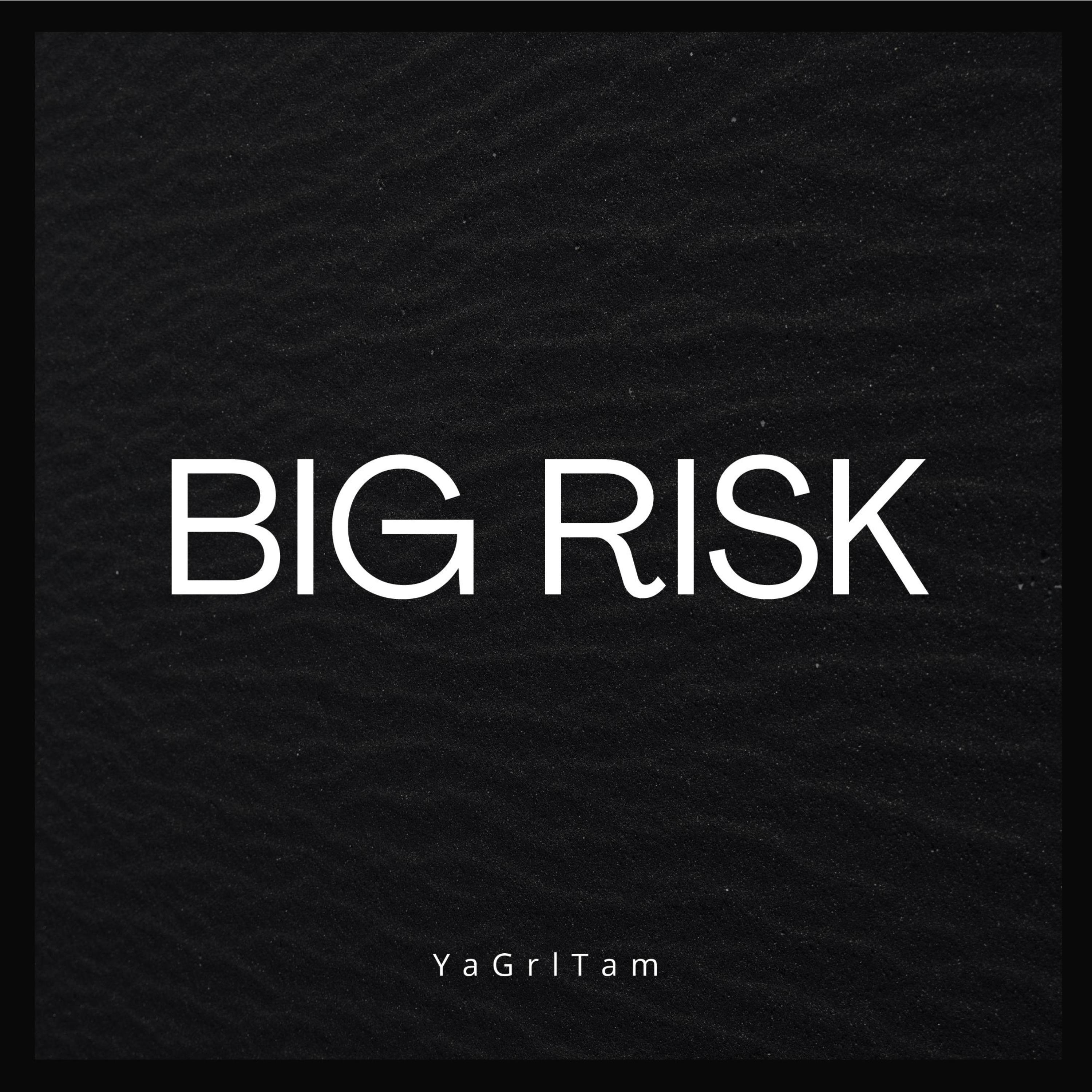 Big Risk by YaGrlTam cover art