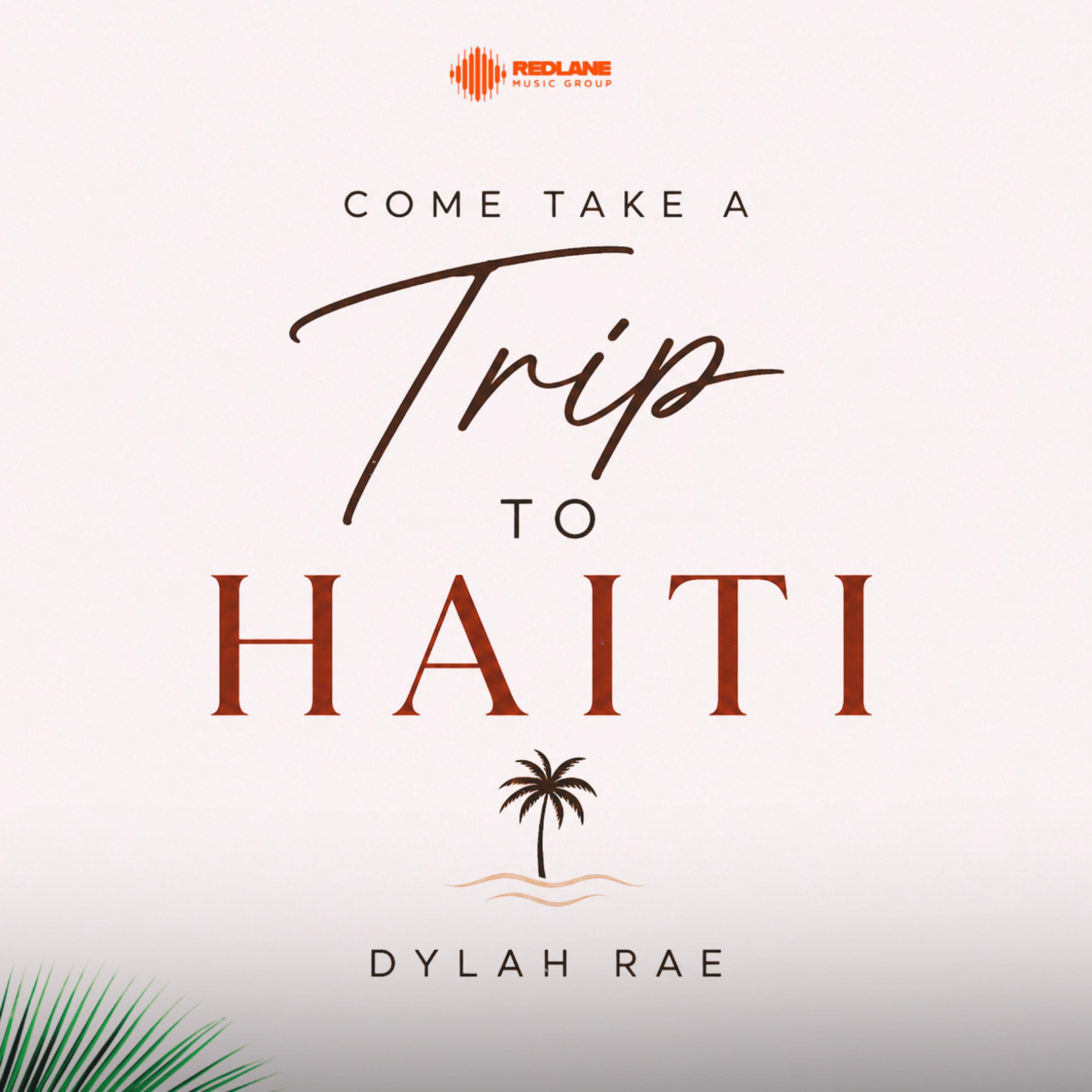 Come Take A Trip To Haiti artwork