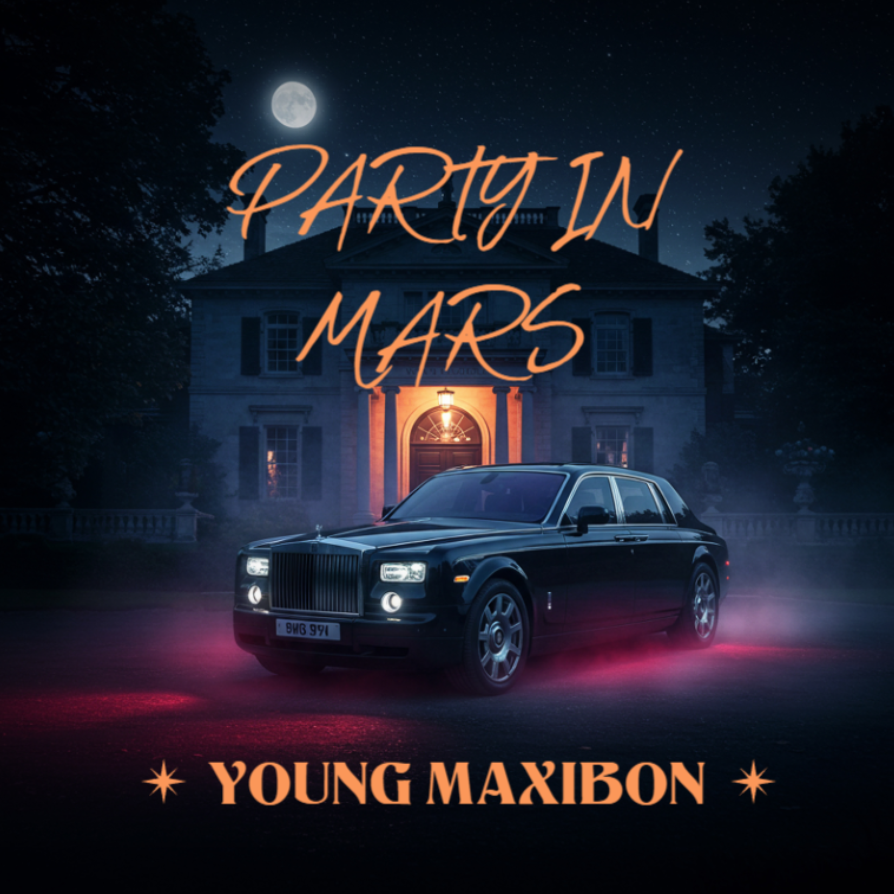 PARTY IN MARS artwork