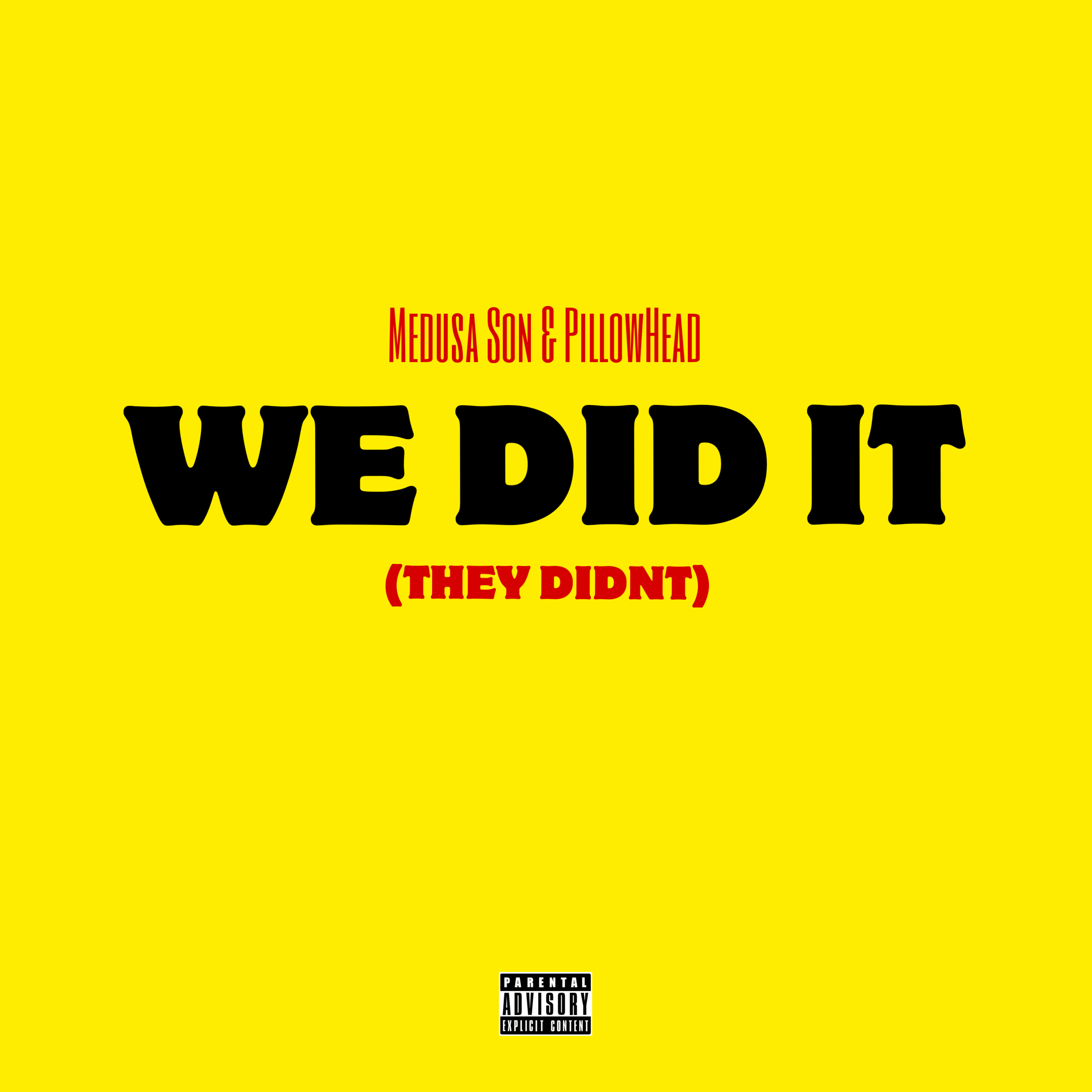 We Did It (They Didnt) artwork