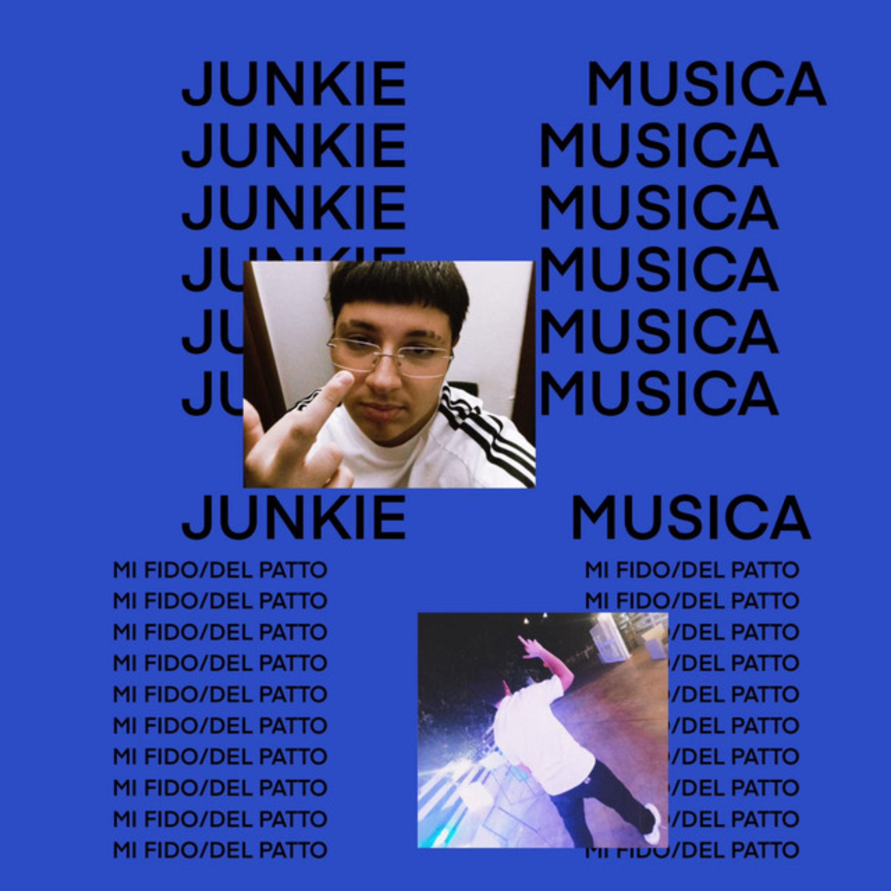 JUNKIE MUSICA artwork