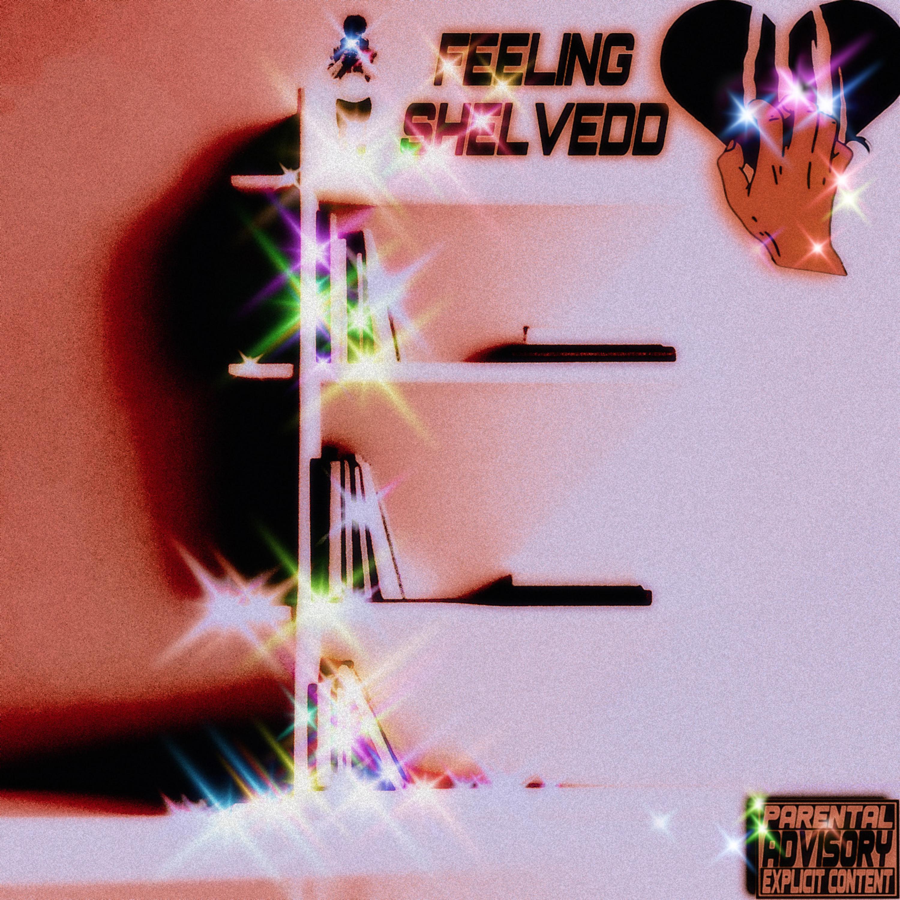 Feeling Shelvedd artwork