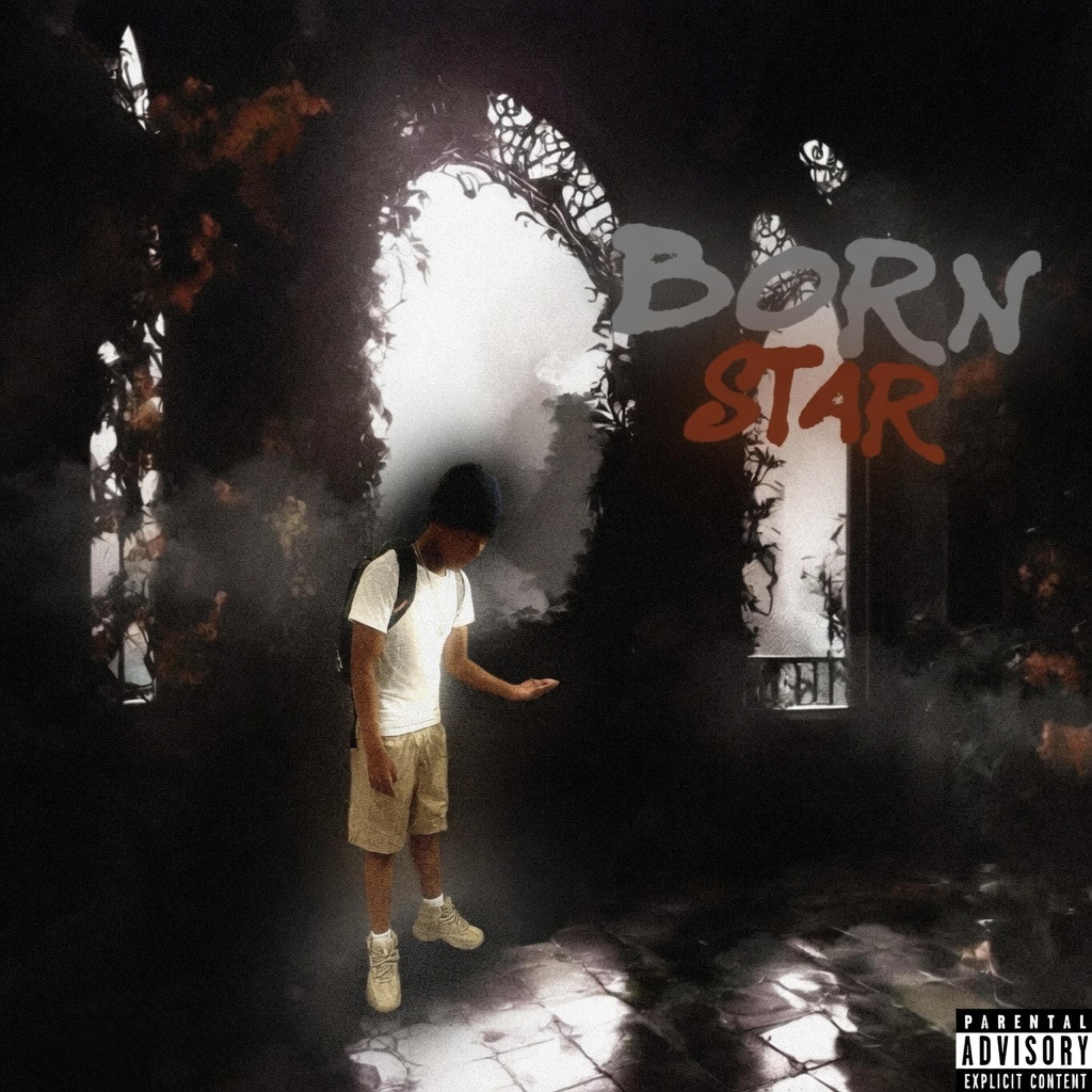 Born star 2 by Babyeli5 cover art