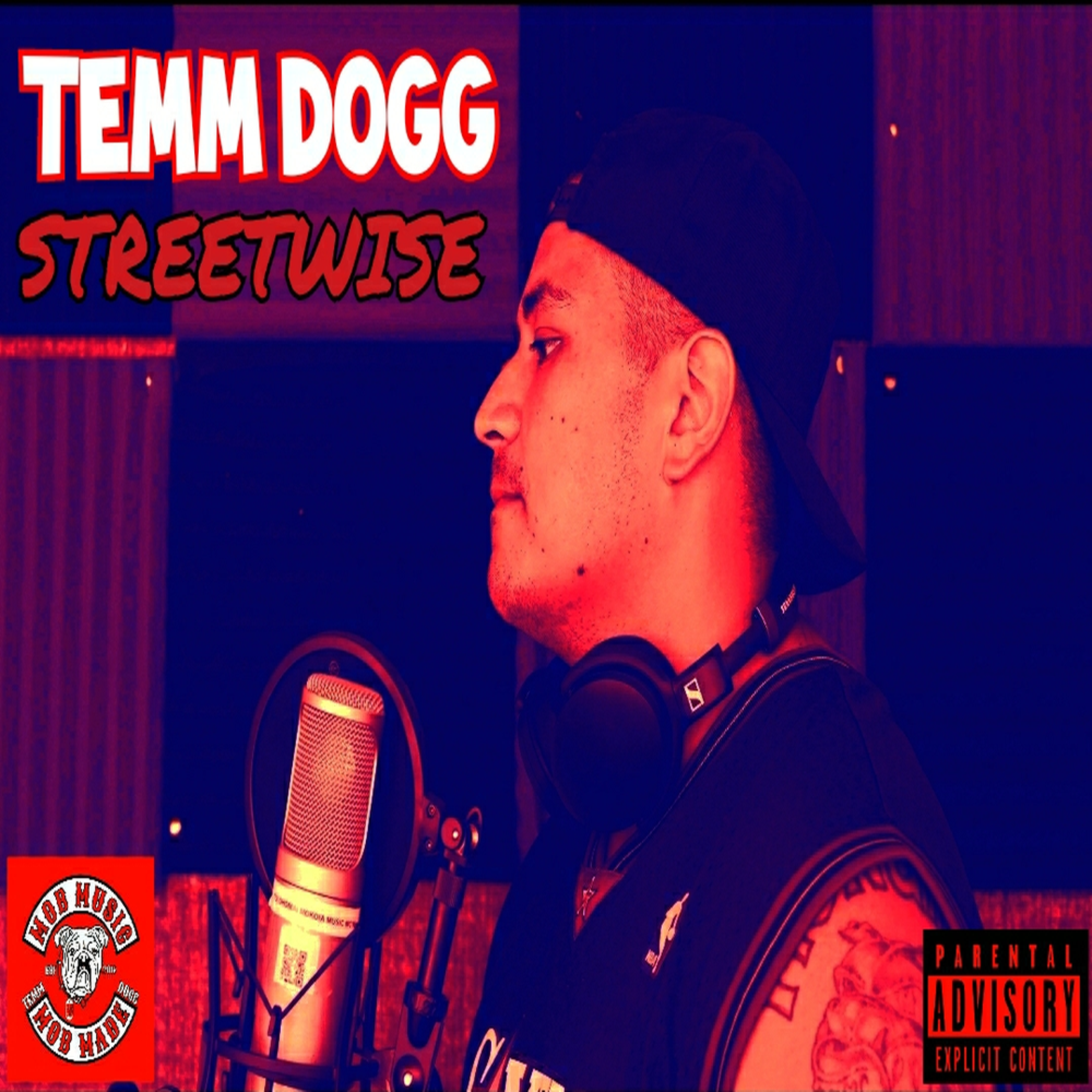 STREETWISE  artwork