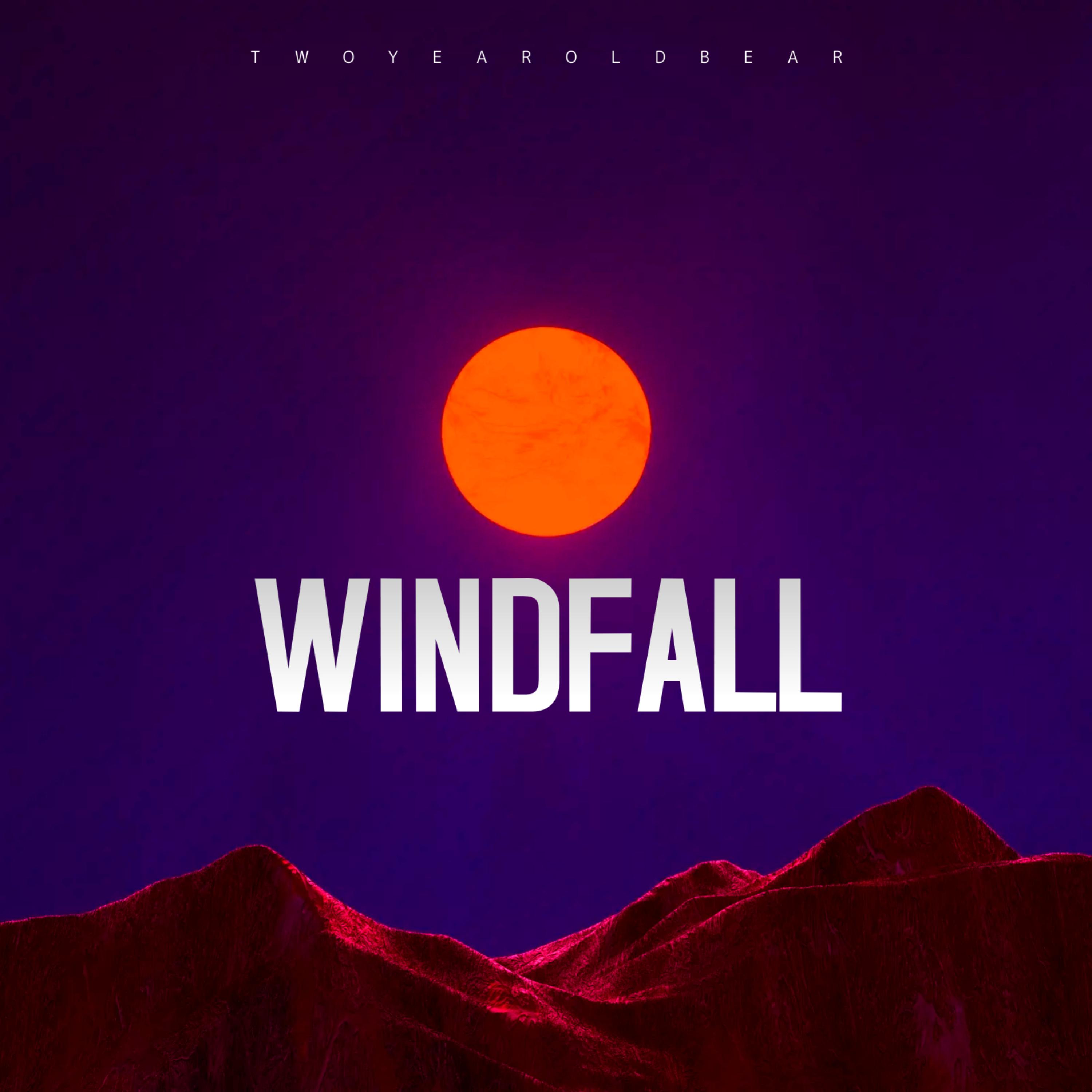 WINDFALL artwork