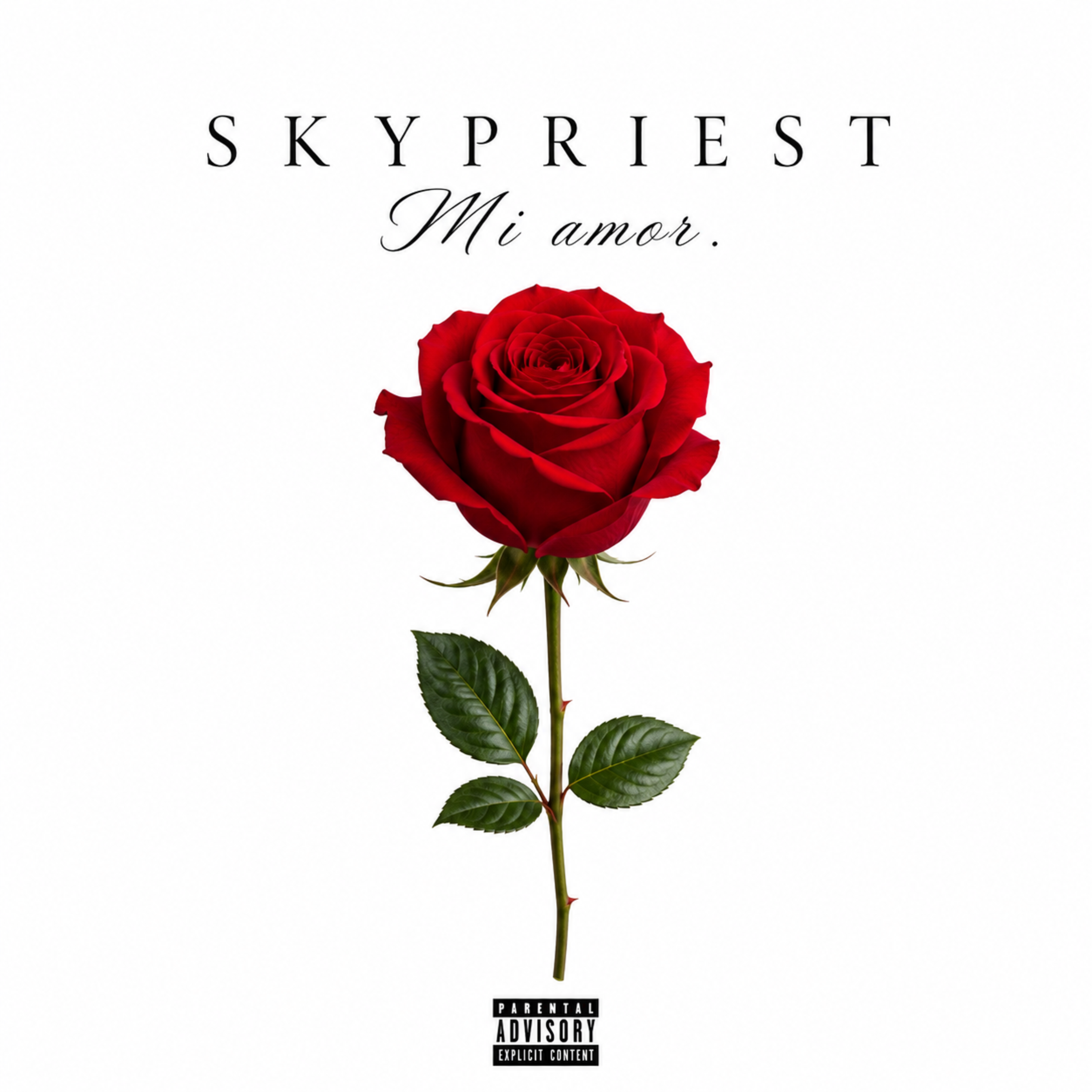 Mi Amor by Skypriest cover art