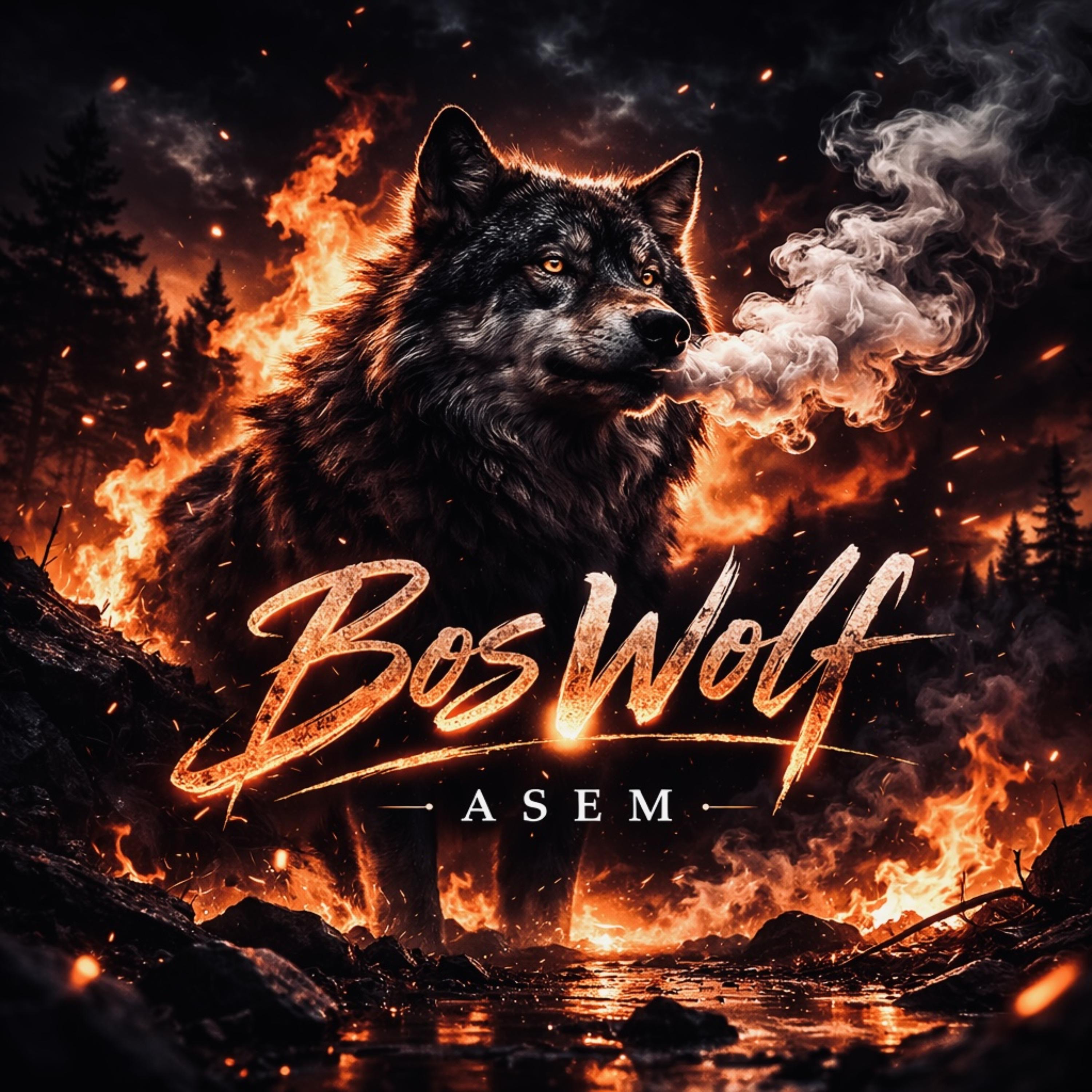 Asem artwork