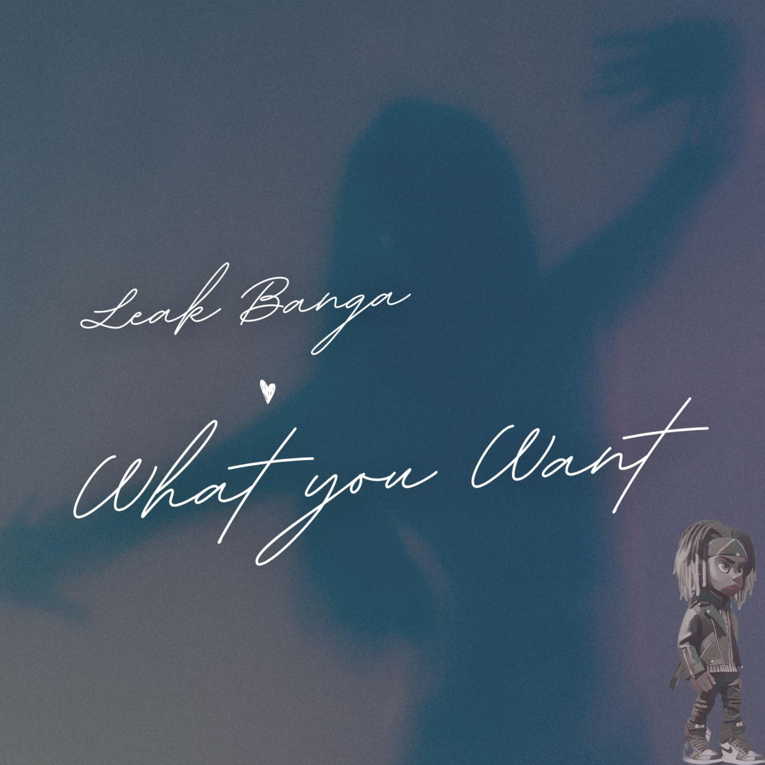 What you want artwork