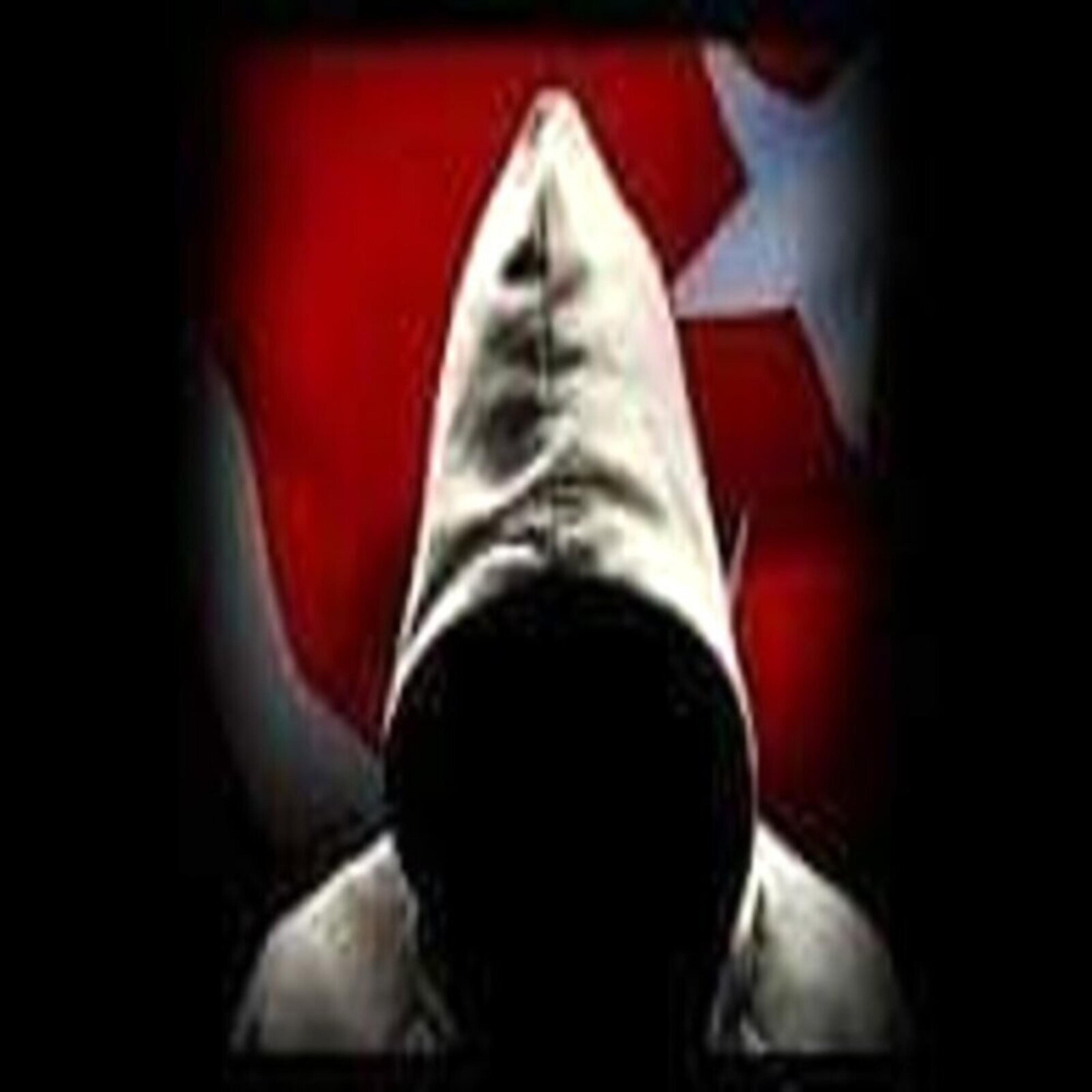 Al Amin   (White Shadow Remix) artwork