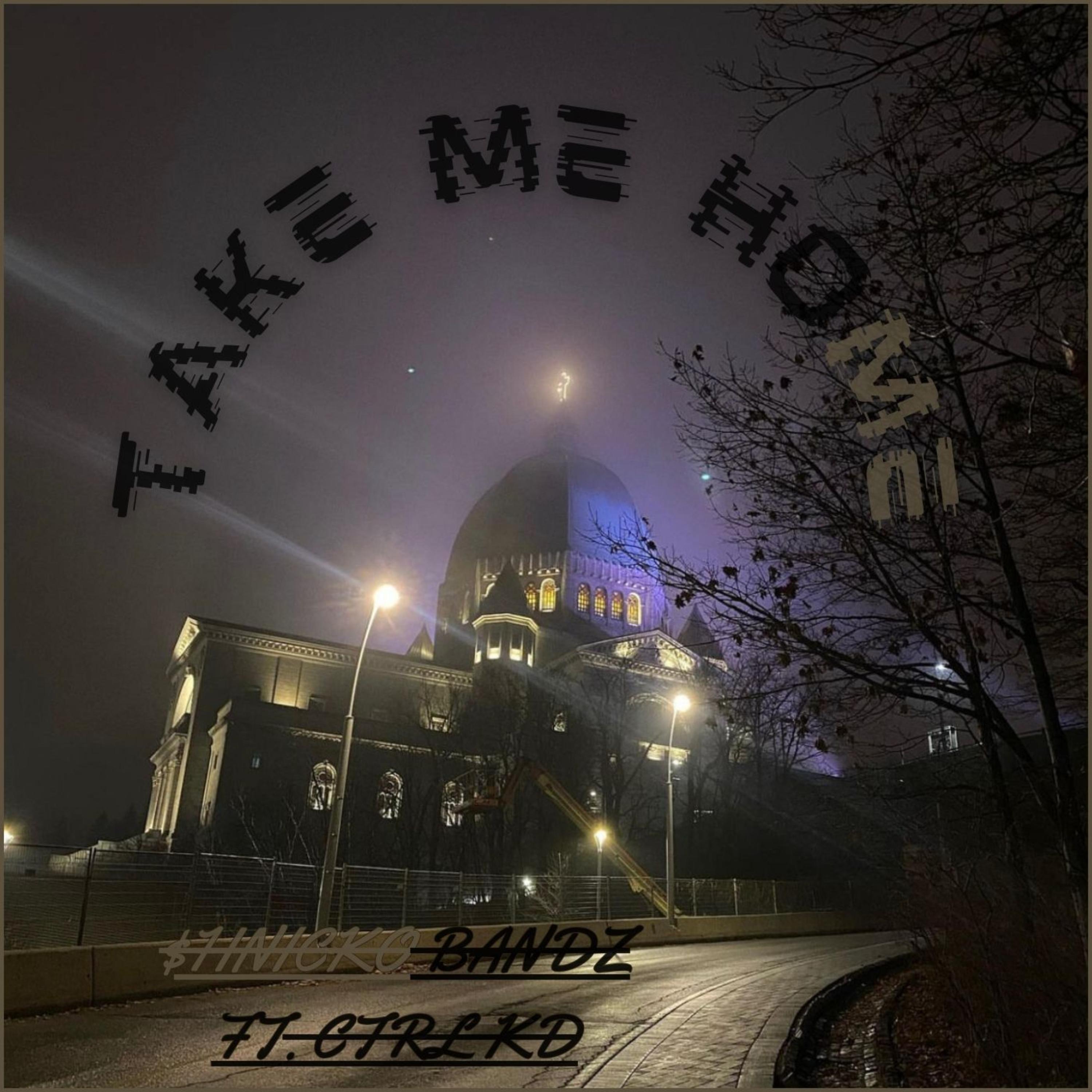 Take Me Home artwork