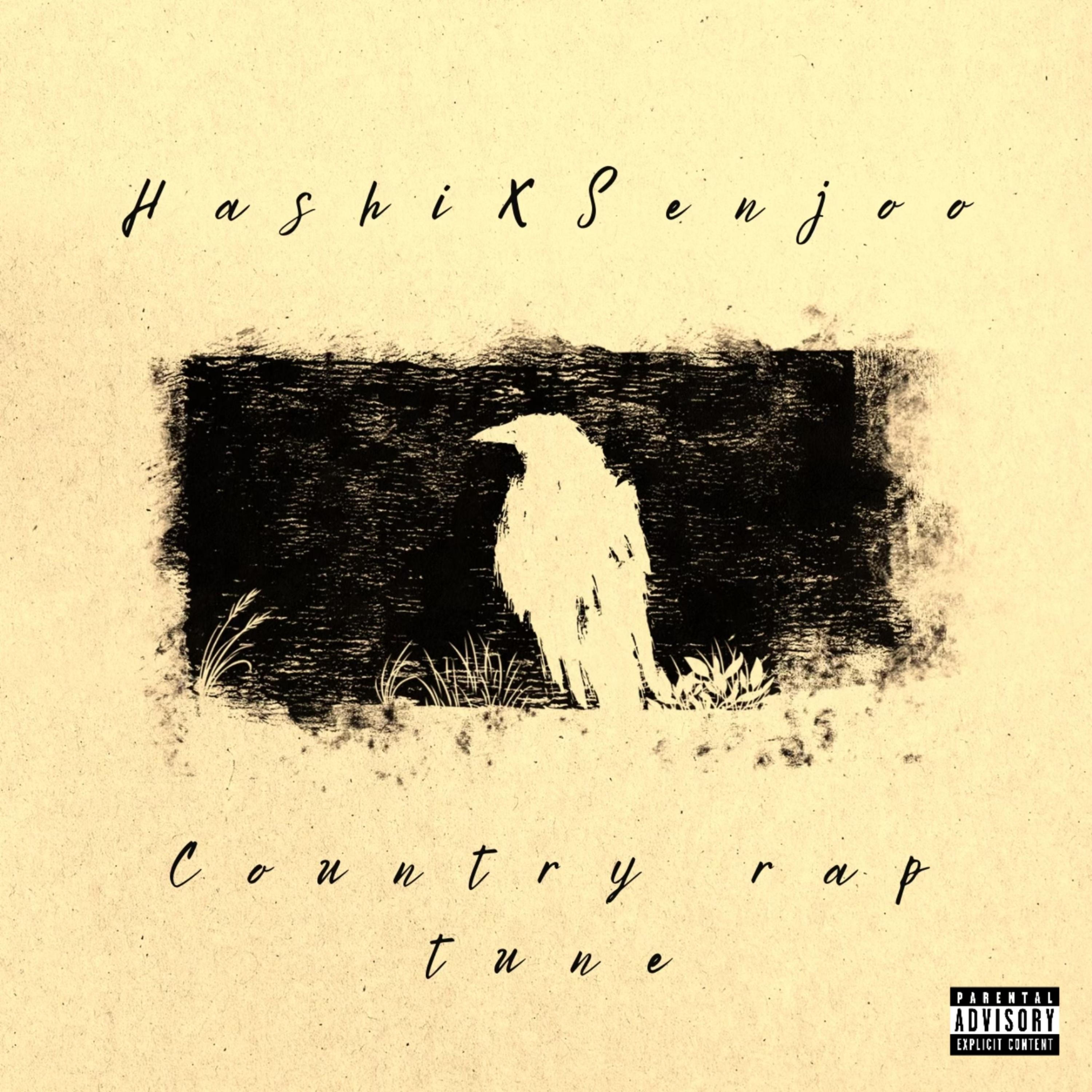 Country rap tune artwork