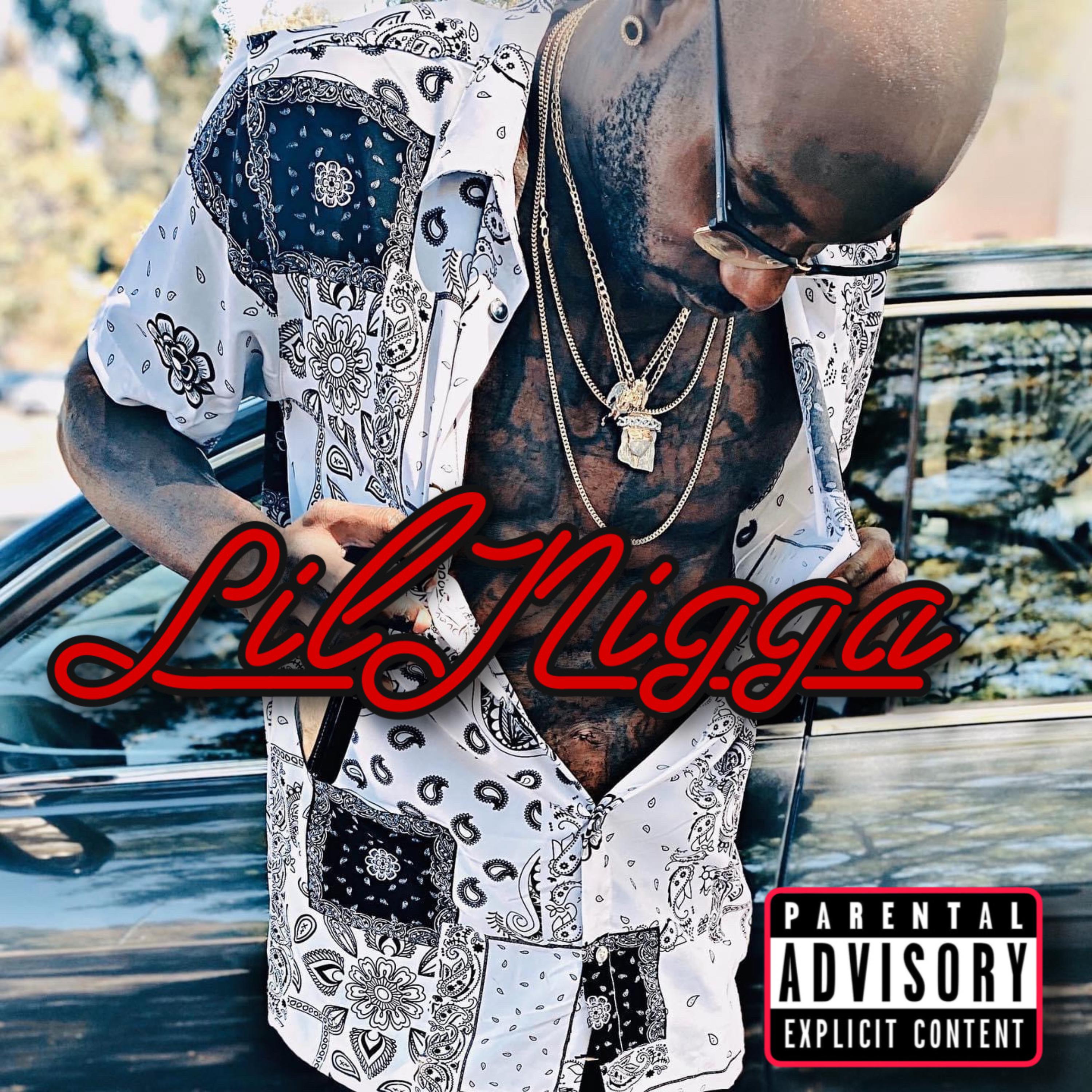LilNigga artwork
