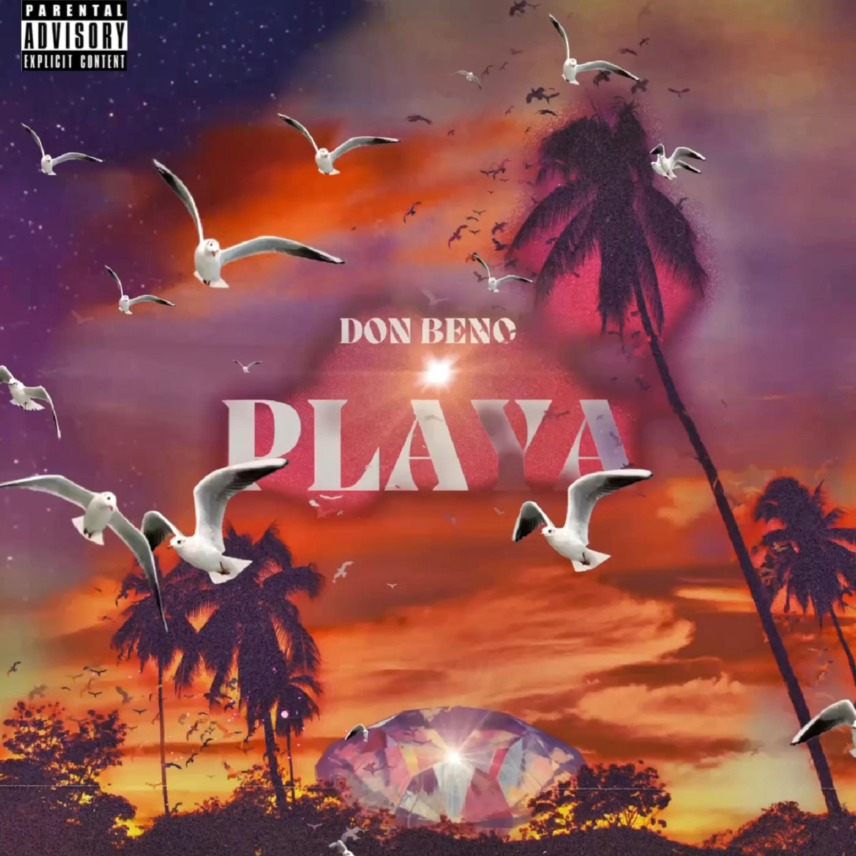 PLAYA artwork