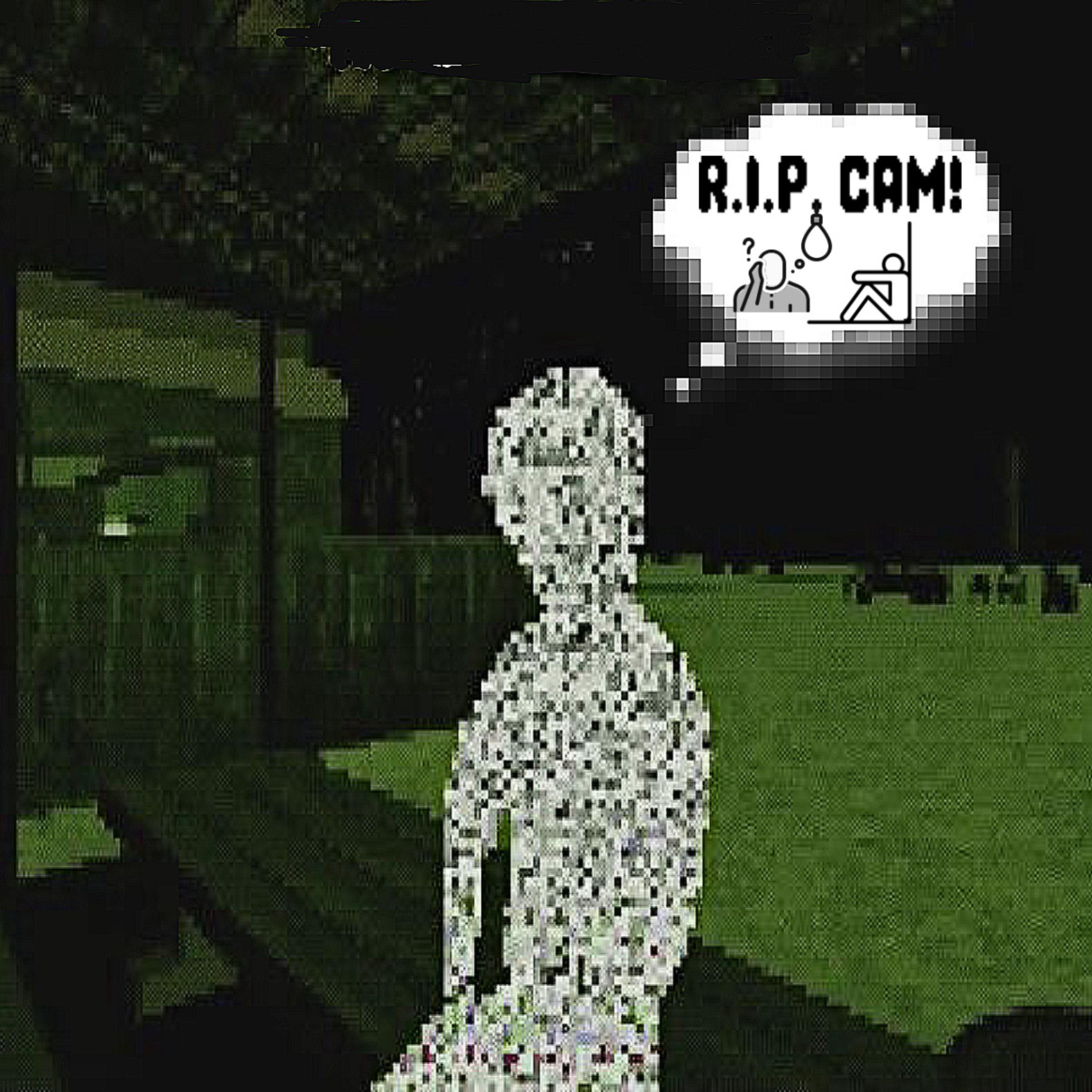 R.I.P. Cam artwork