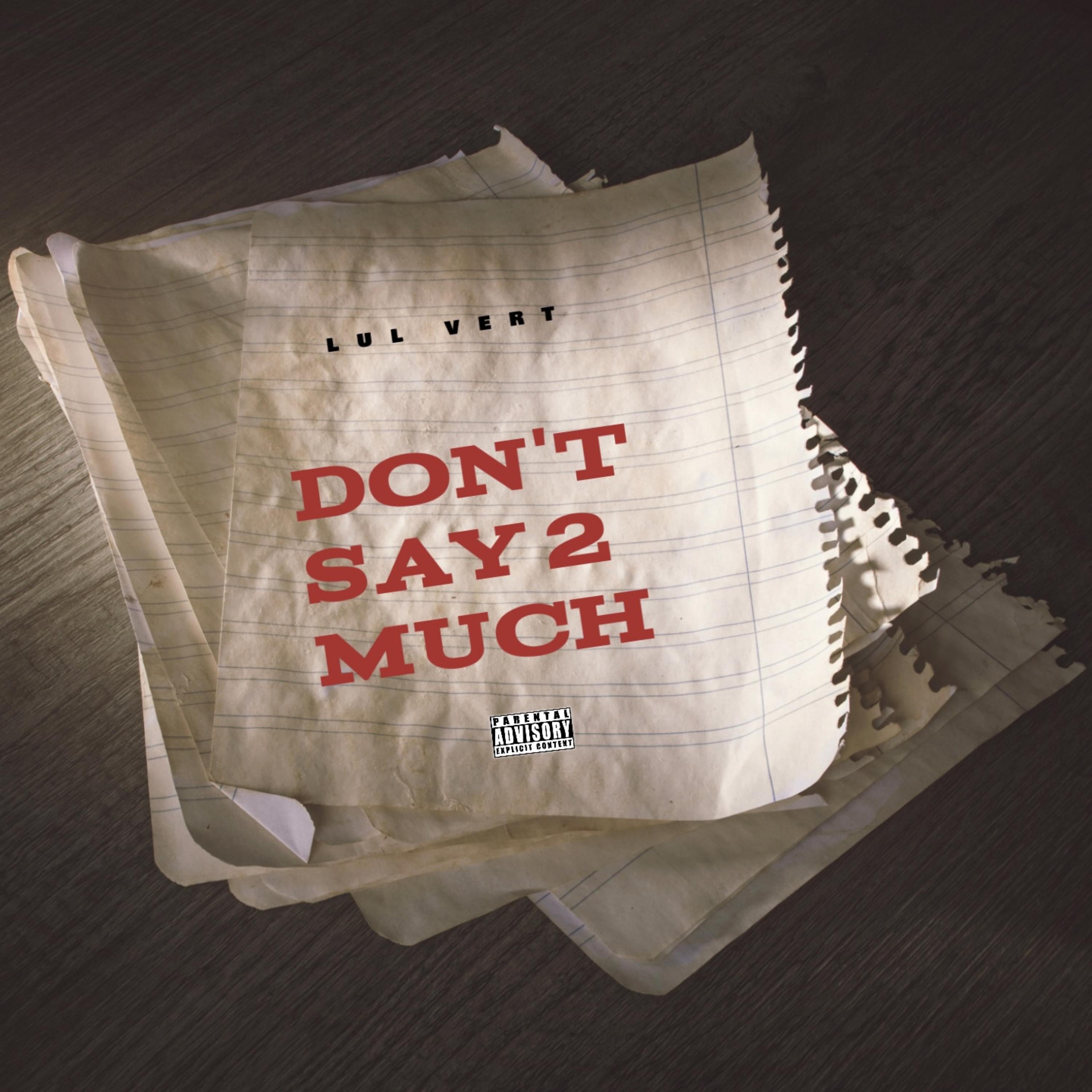 Dont Say Too Much artwork