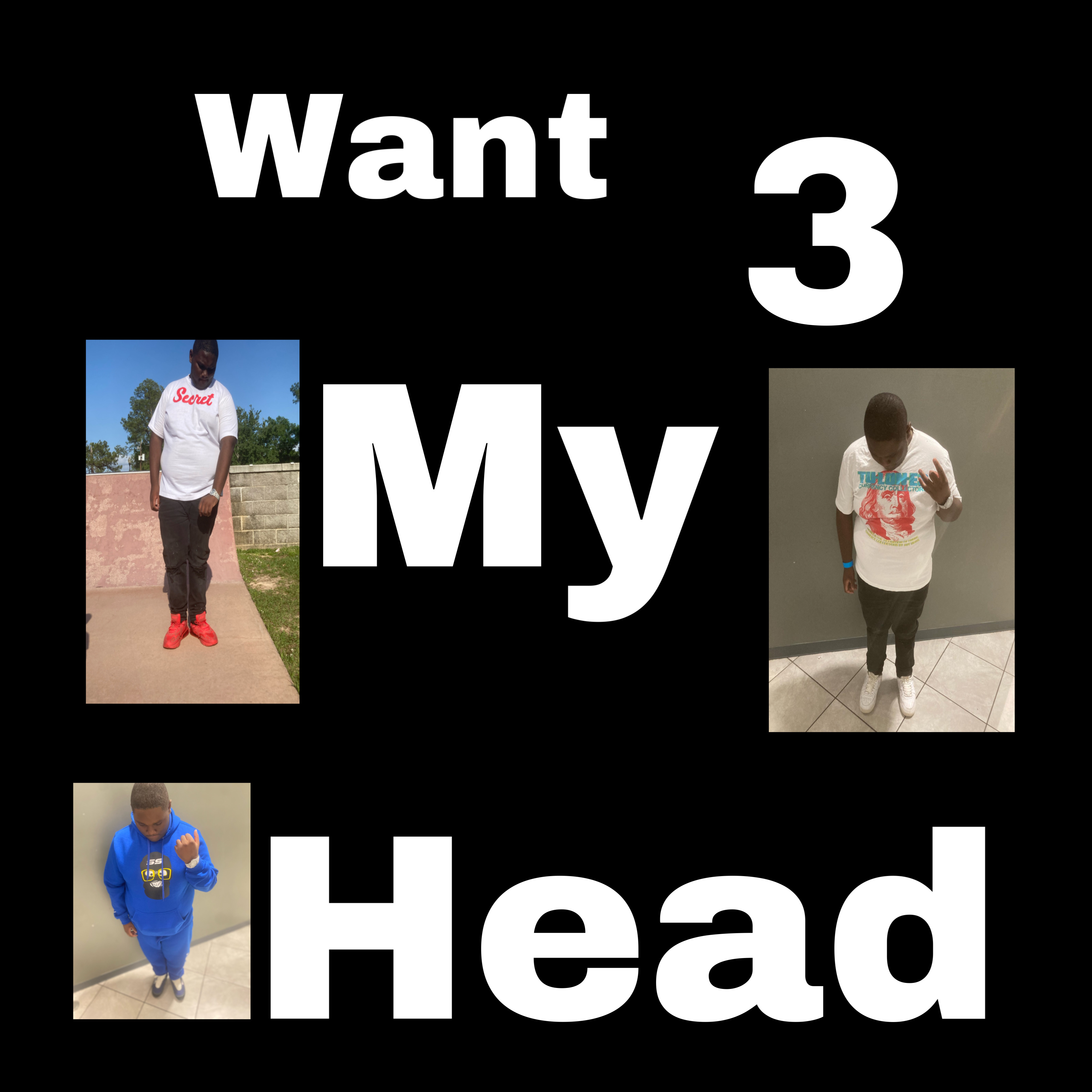 Want My Head 3 by JaMari FNB  cover art