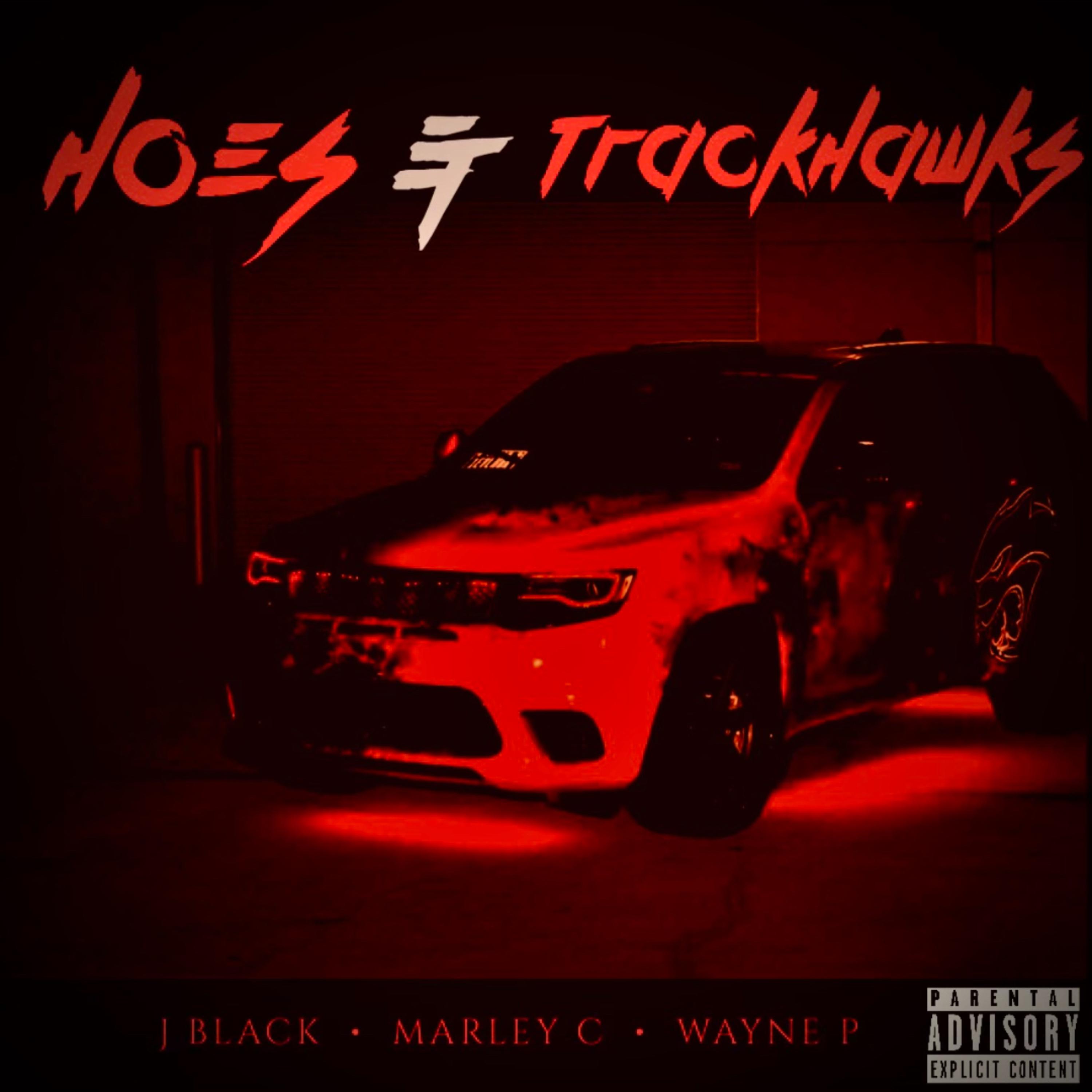 Hoes N Trackhawks artwork