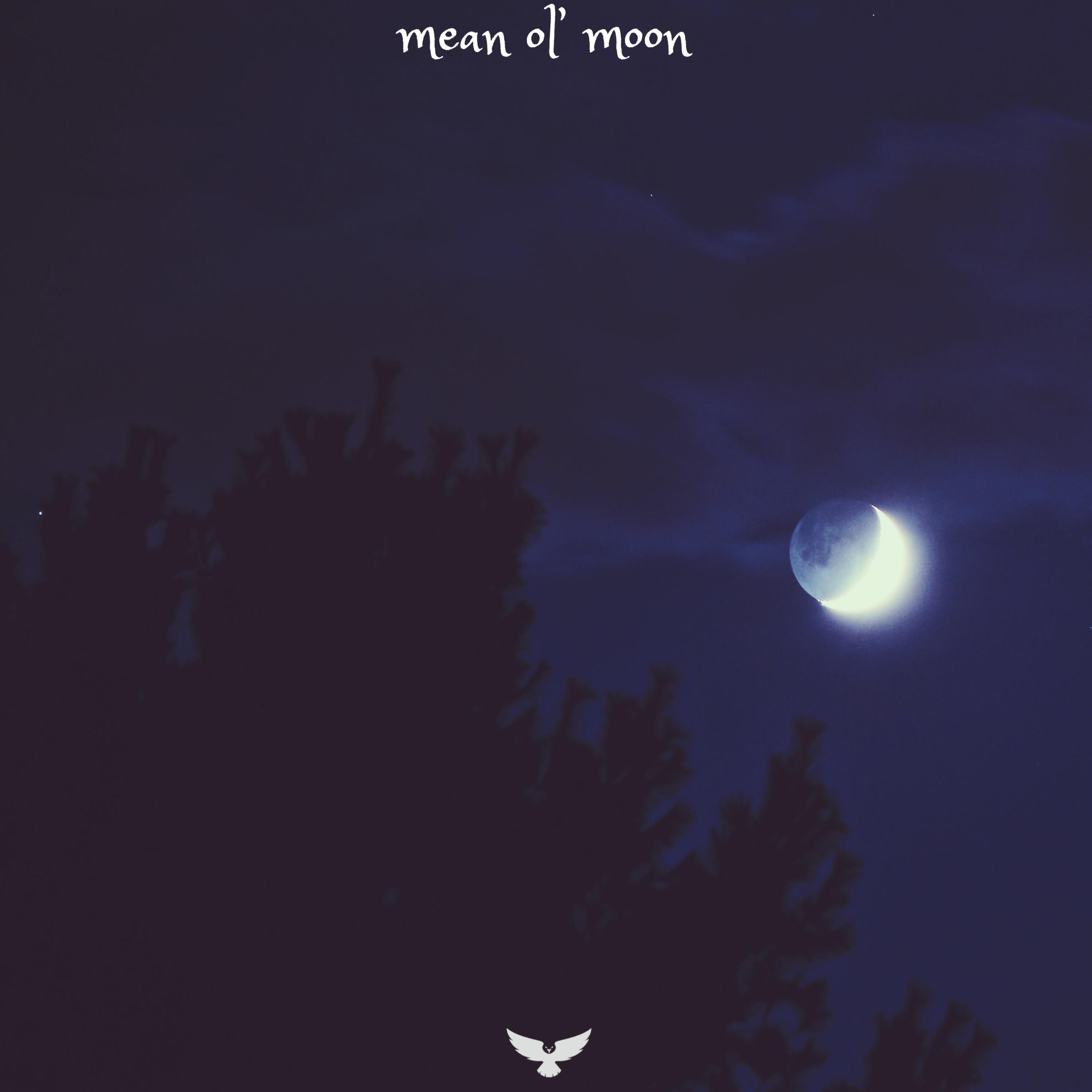 Mean Ol' Moon artwork