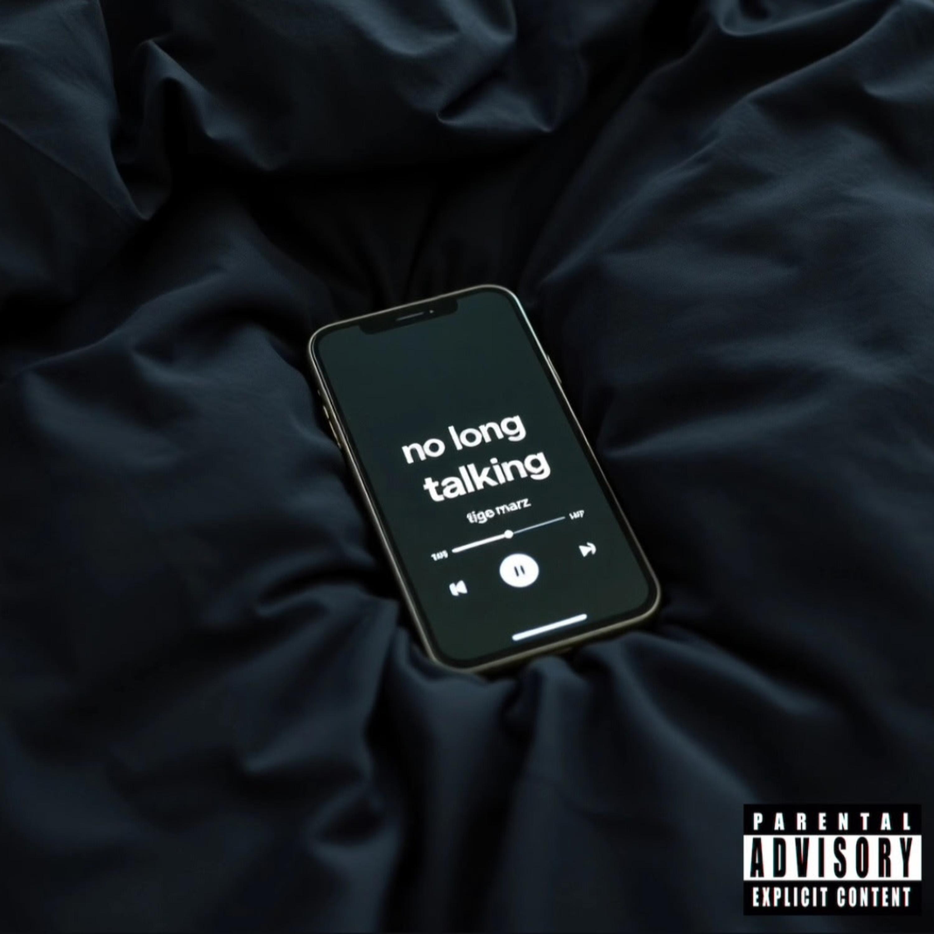 No Long Talking by Tigo Marz cover art