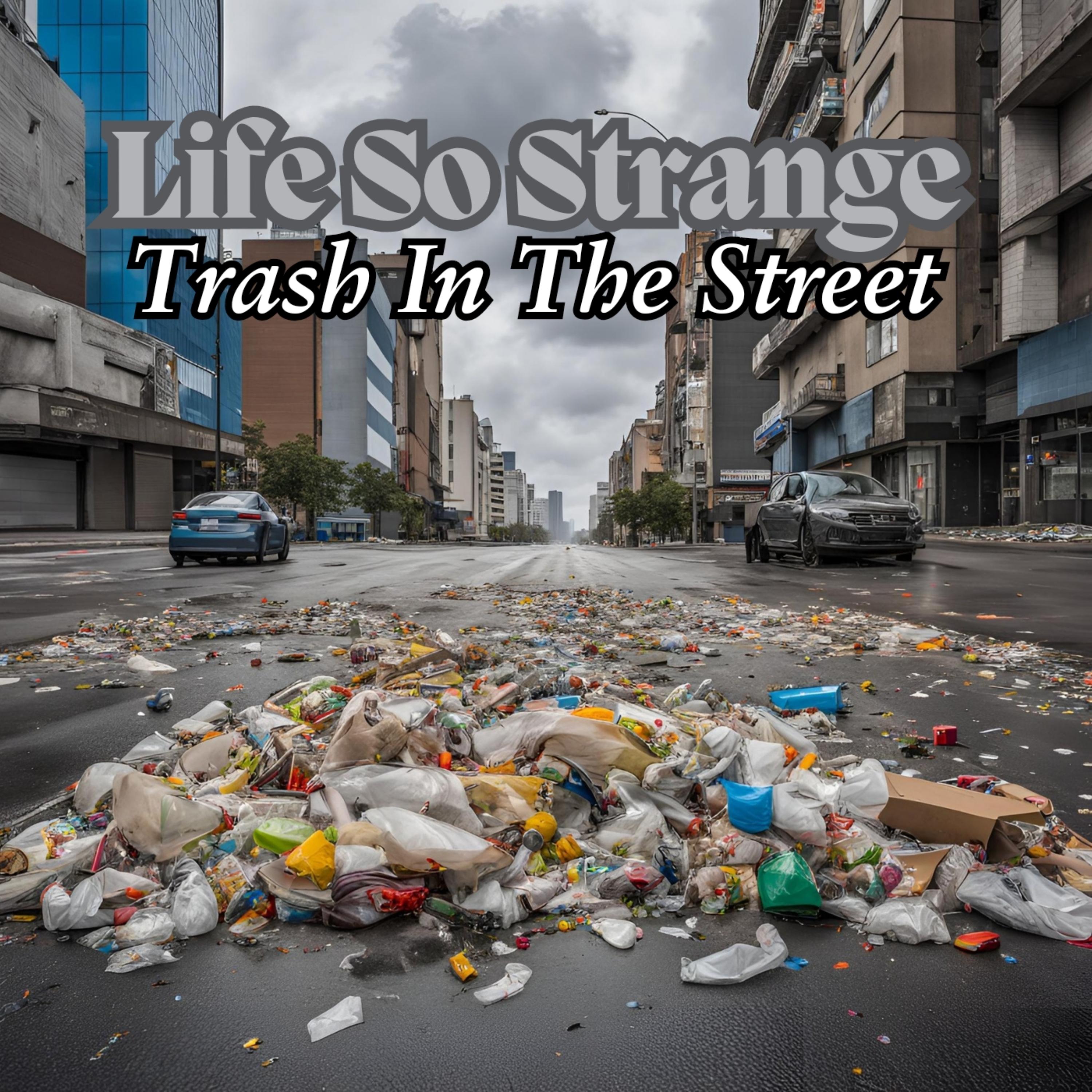 Trash In The Street artwork
