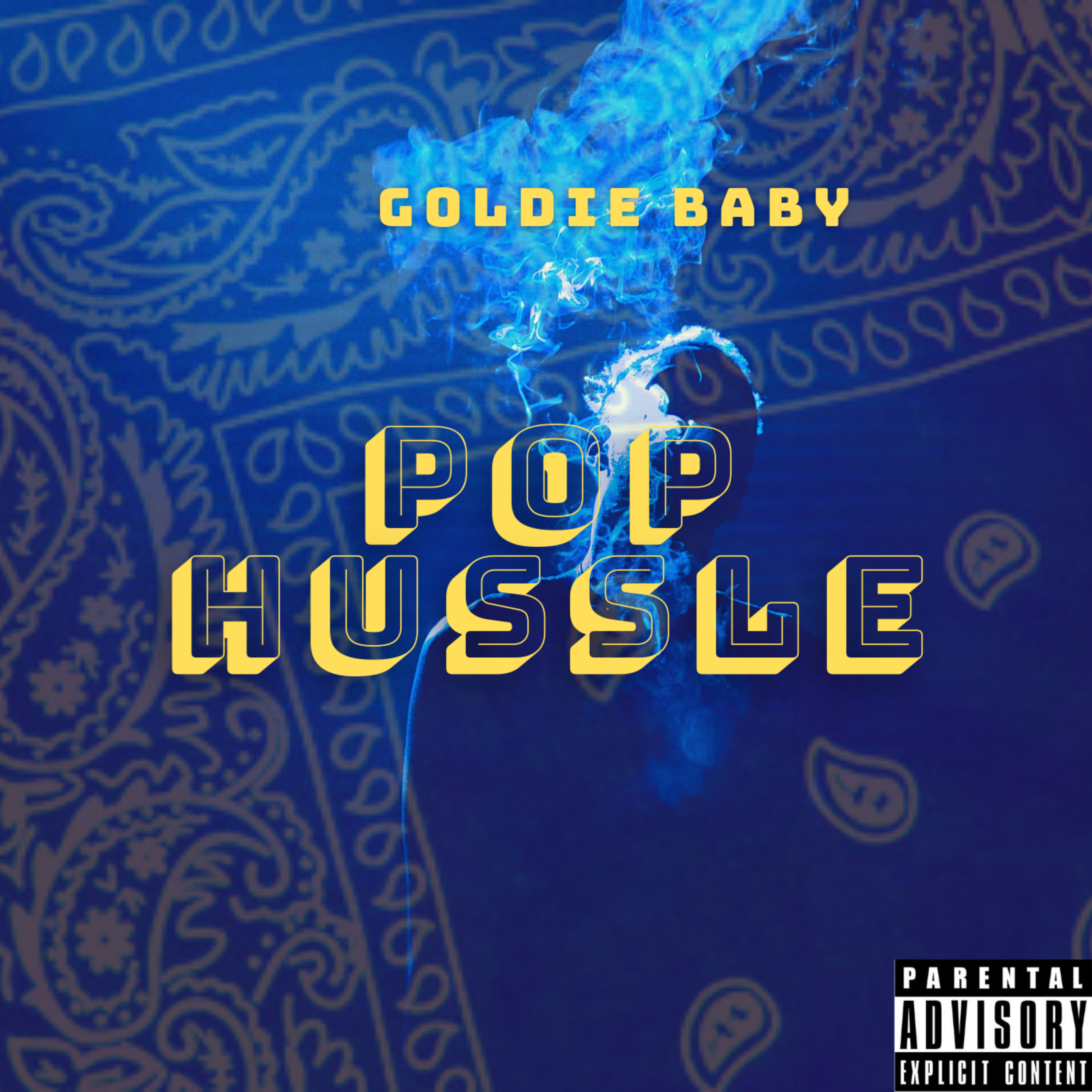 Pop Hussle  artwork