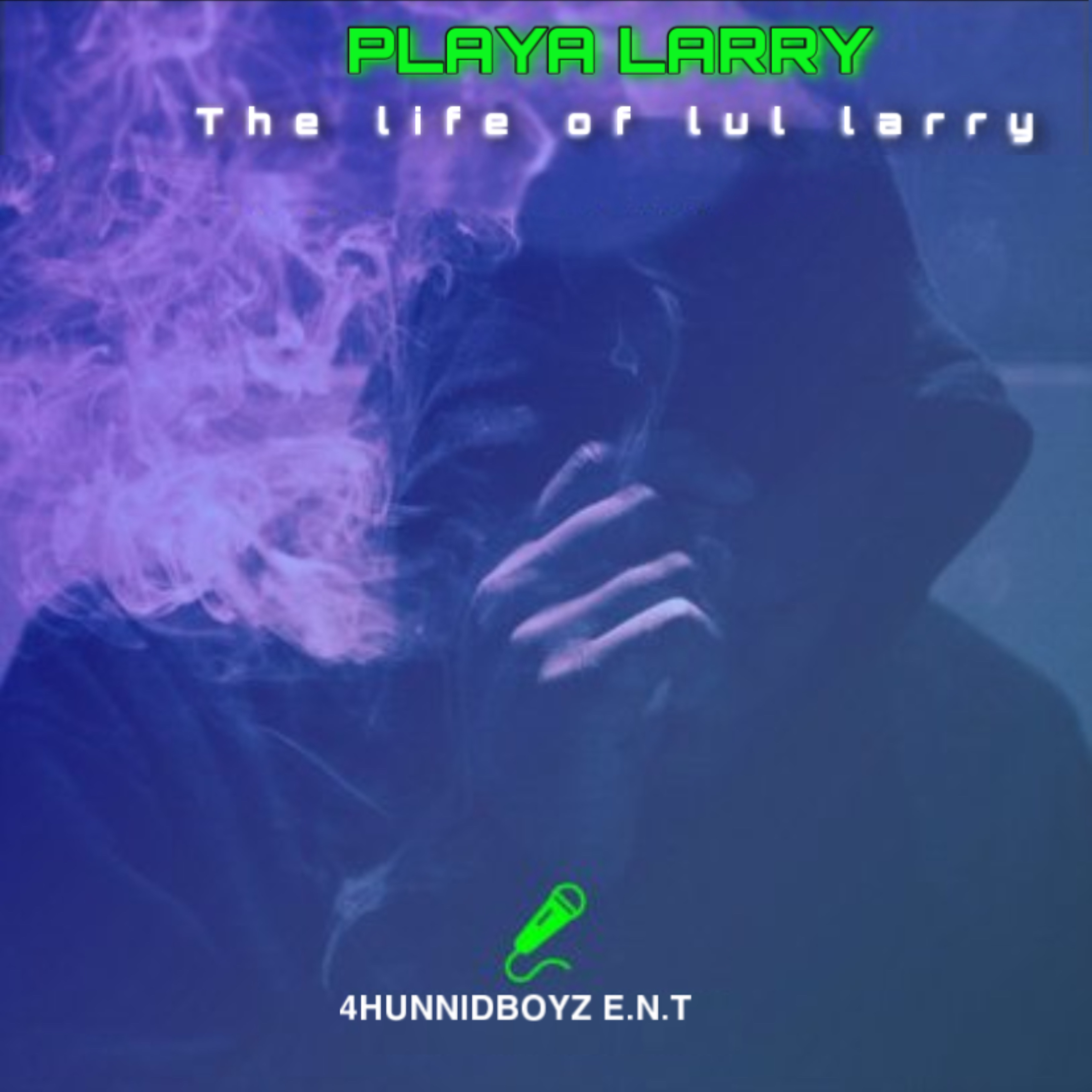 The Life Of Lul Larry artwork