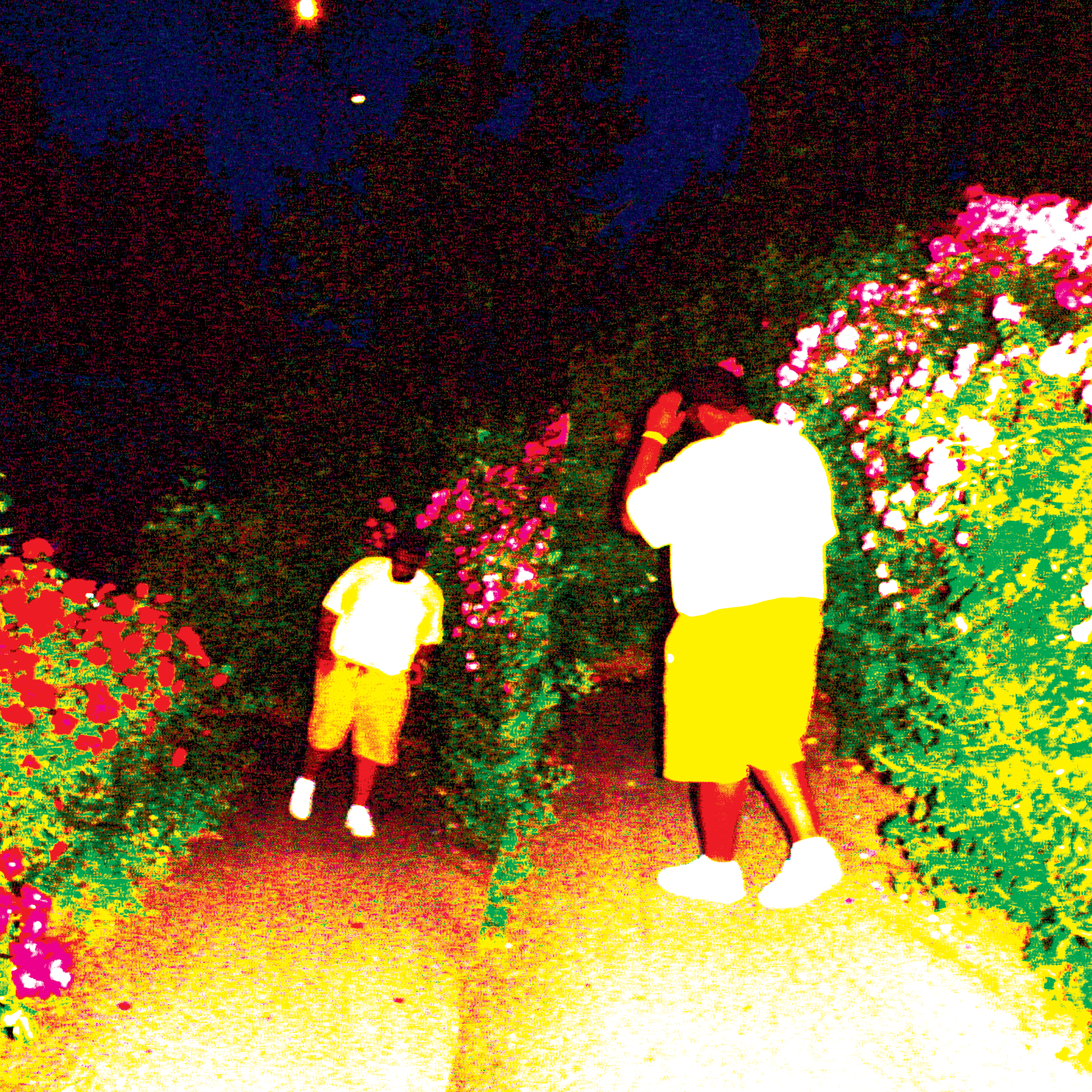 WYD (2K20) artwork