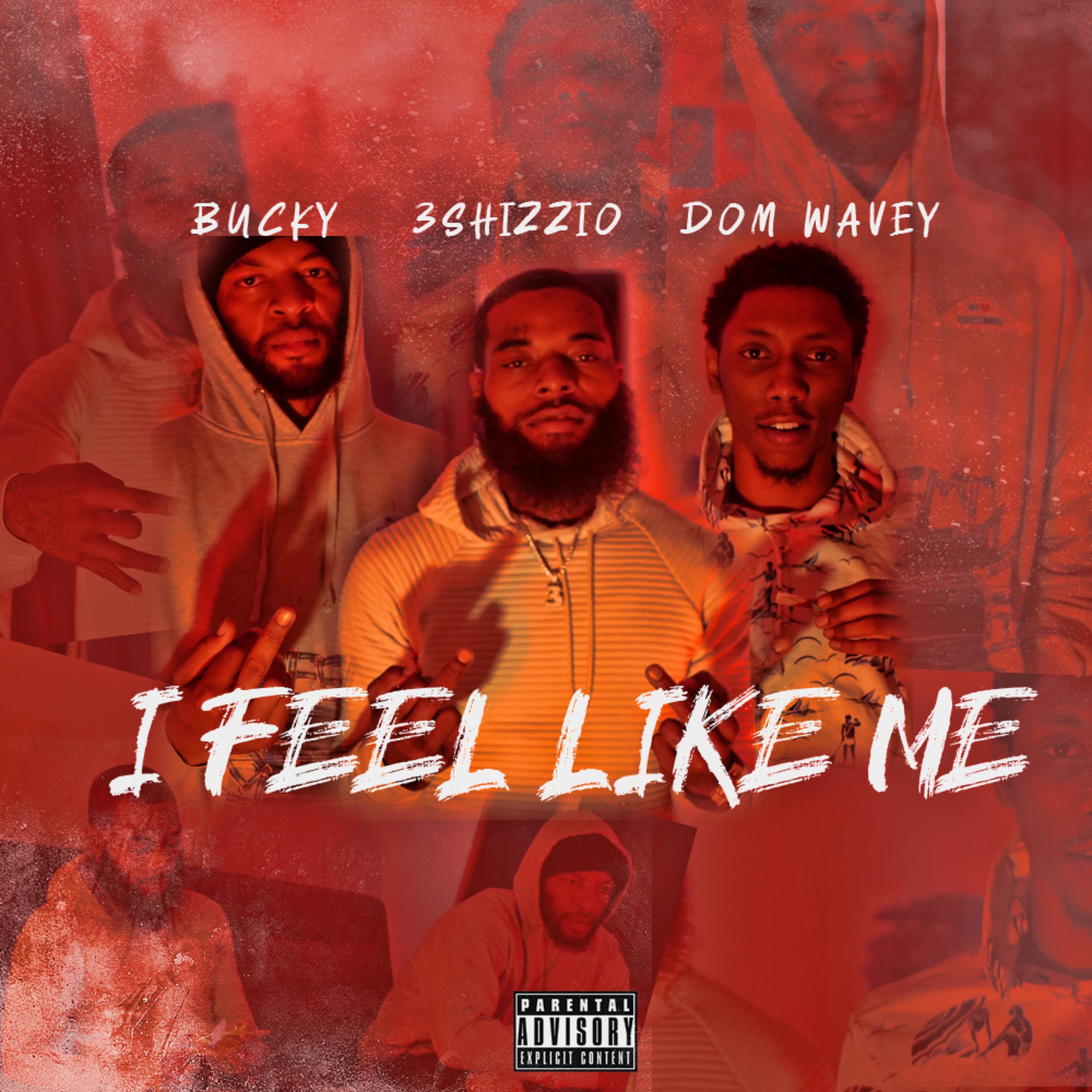 I Feel Like Me by BigShizzio cover art