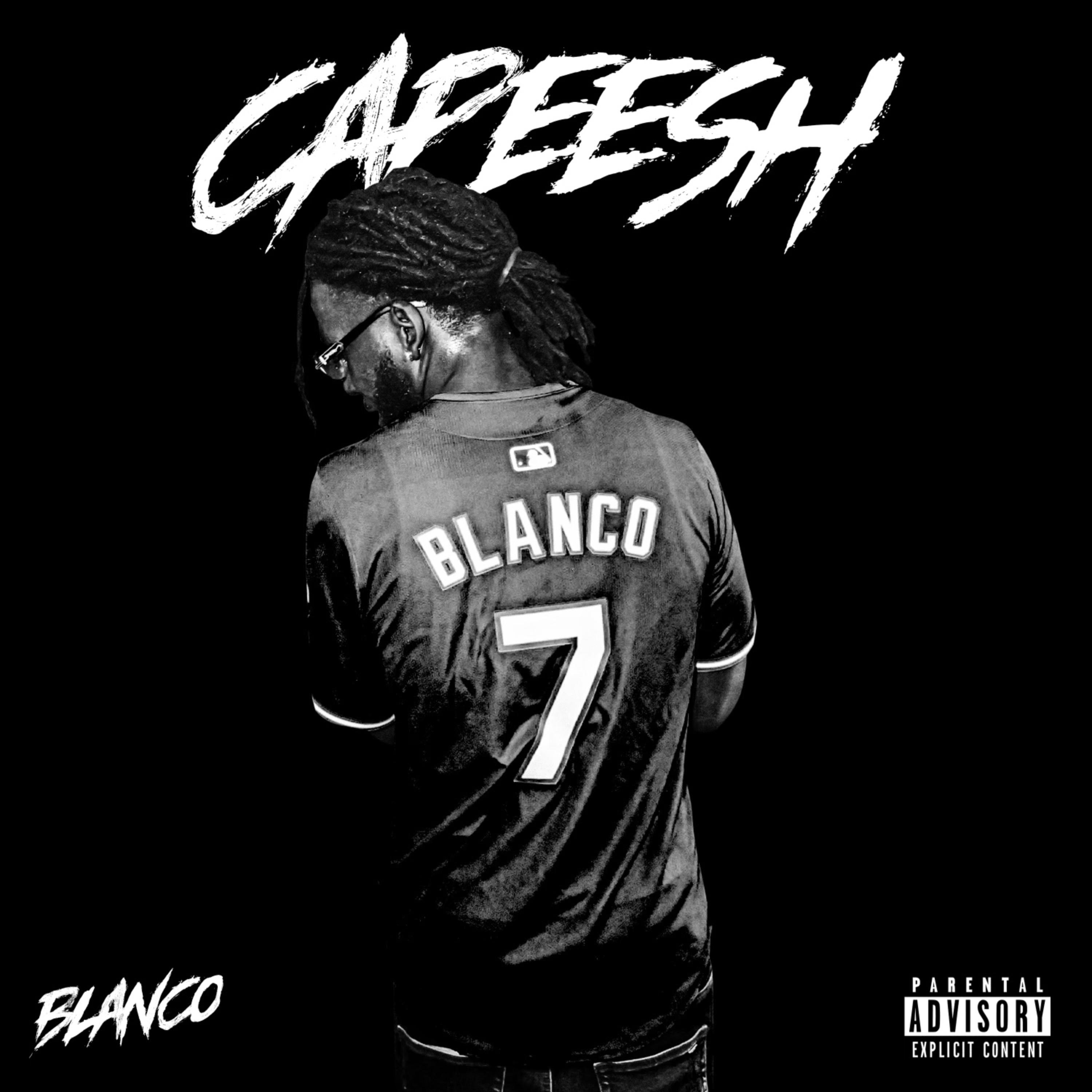 Capeesh artwork