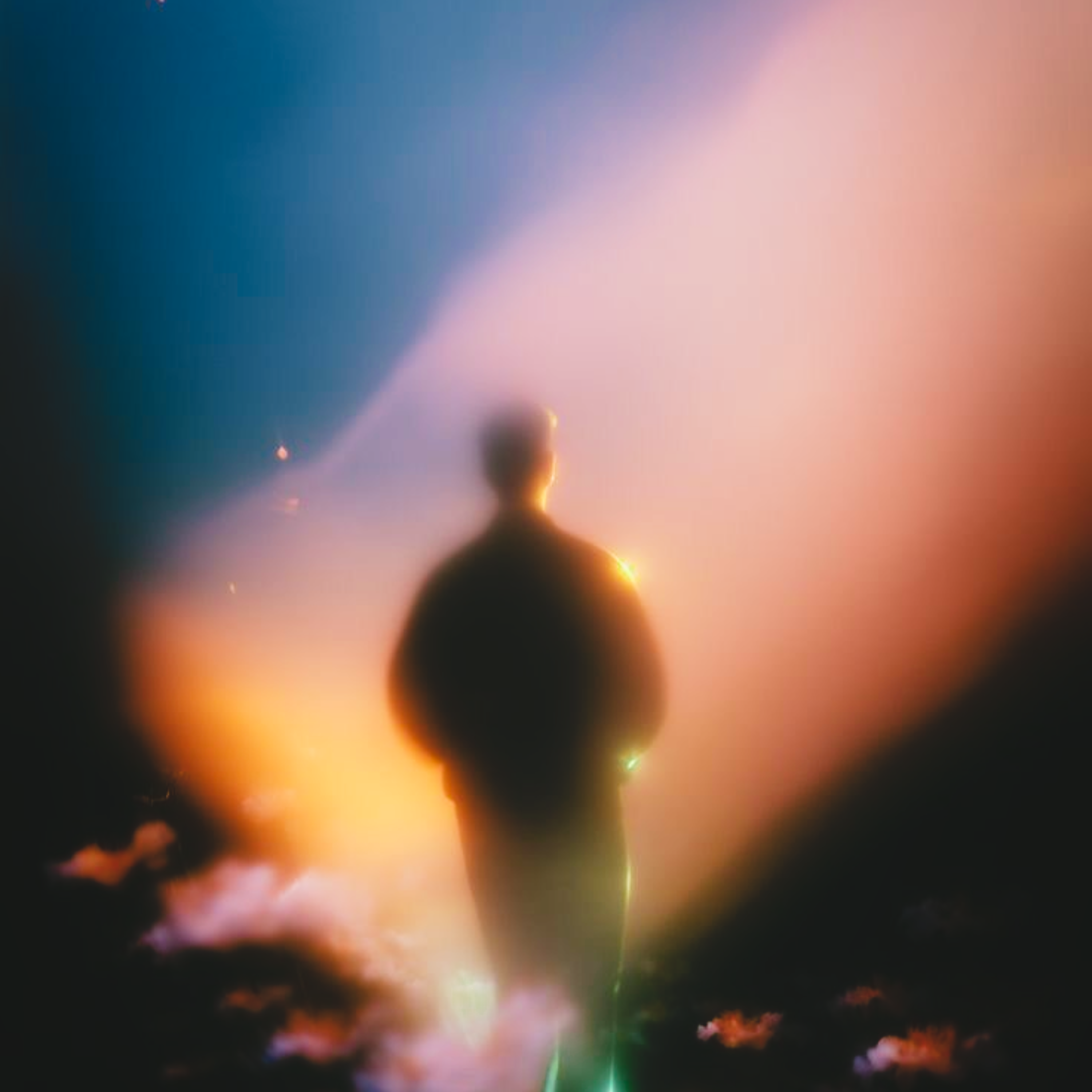 PARADIZE II artwork