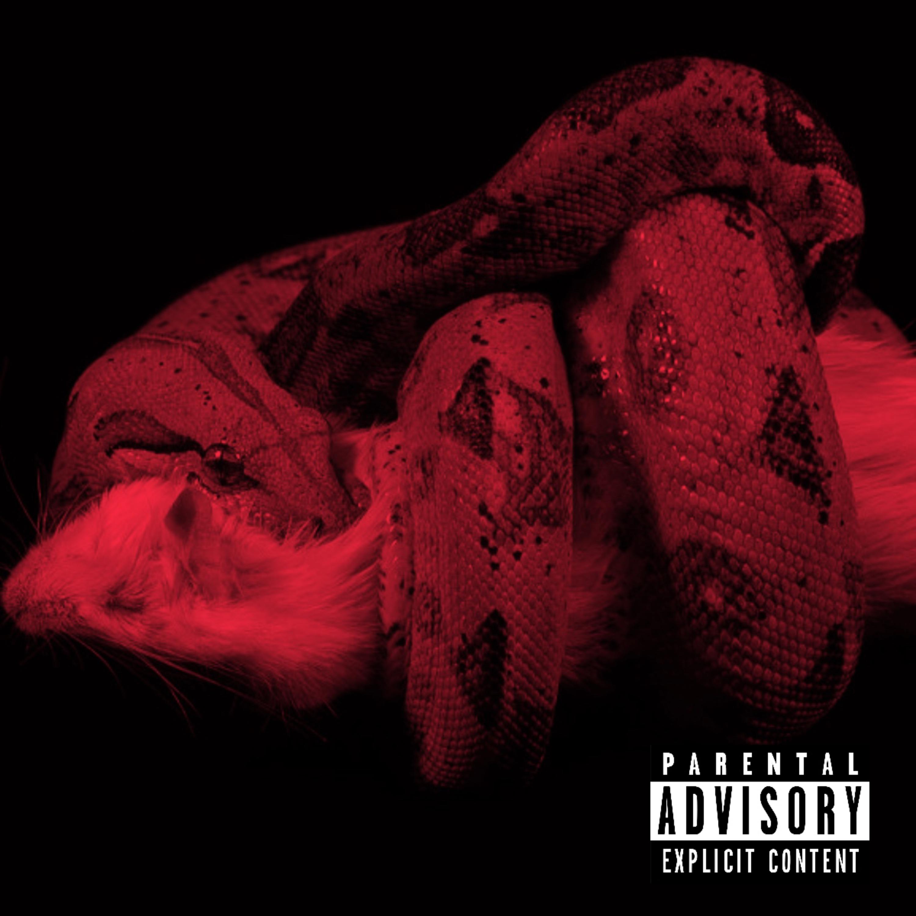 REALYFE artwork