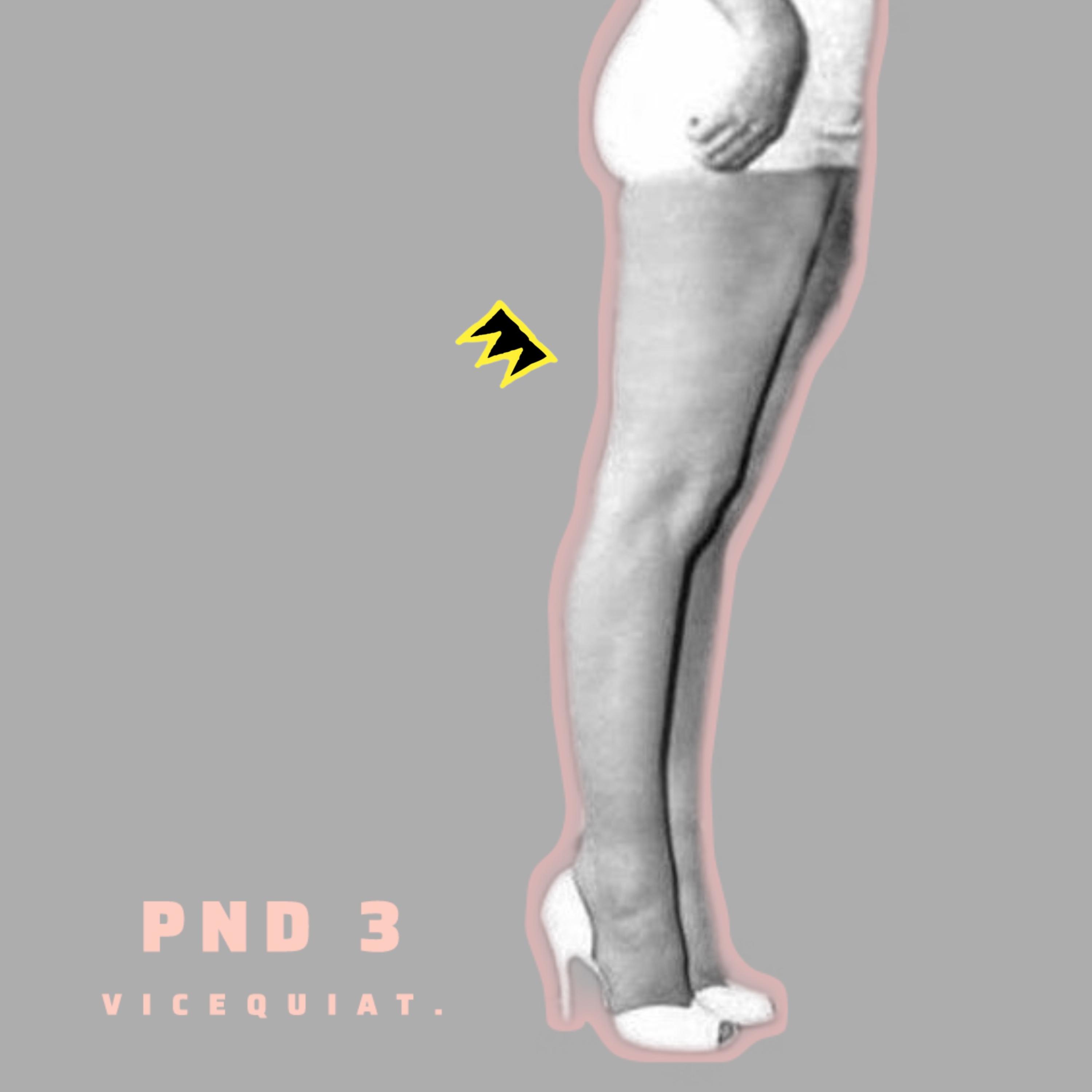 PND 3 by VICEQUIAT. cover art