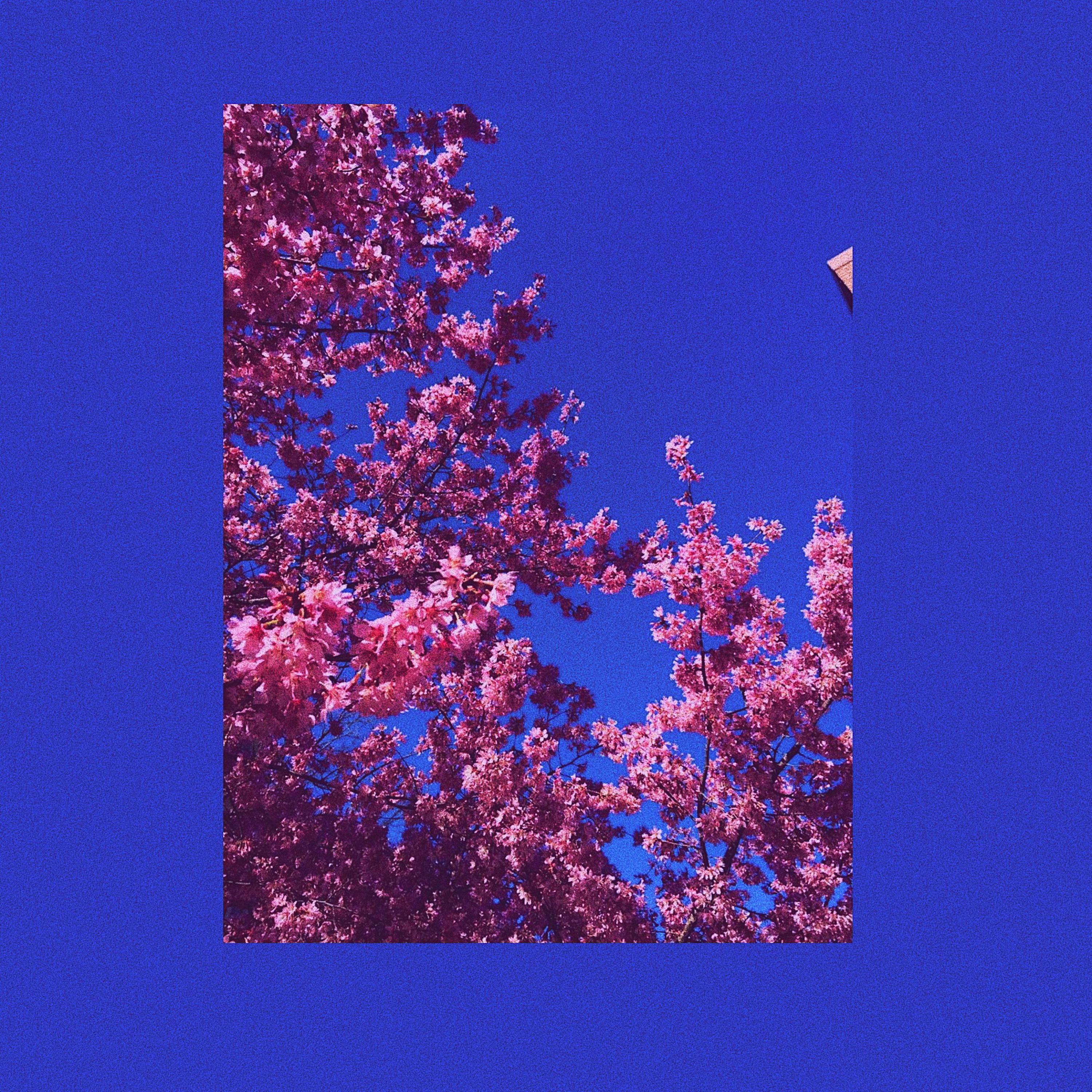 Die Unknown artwork