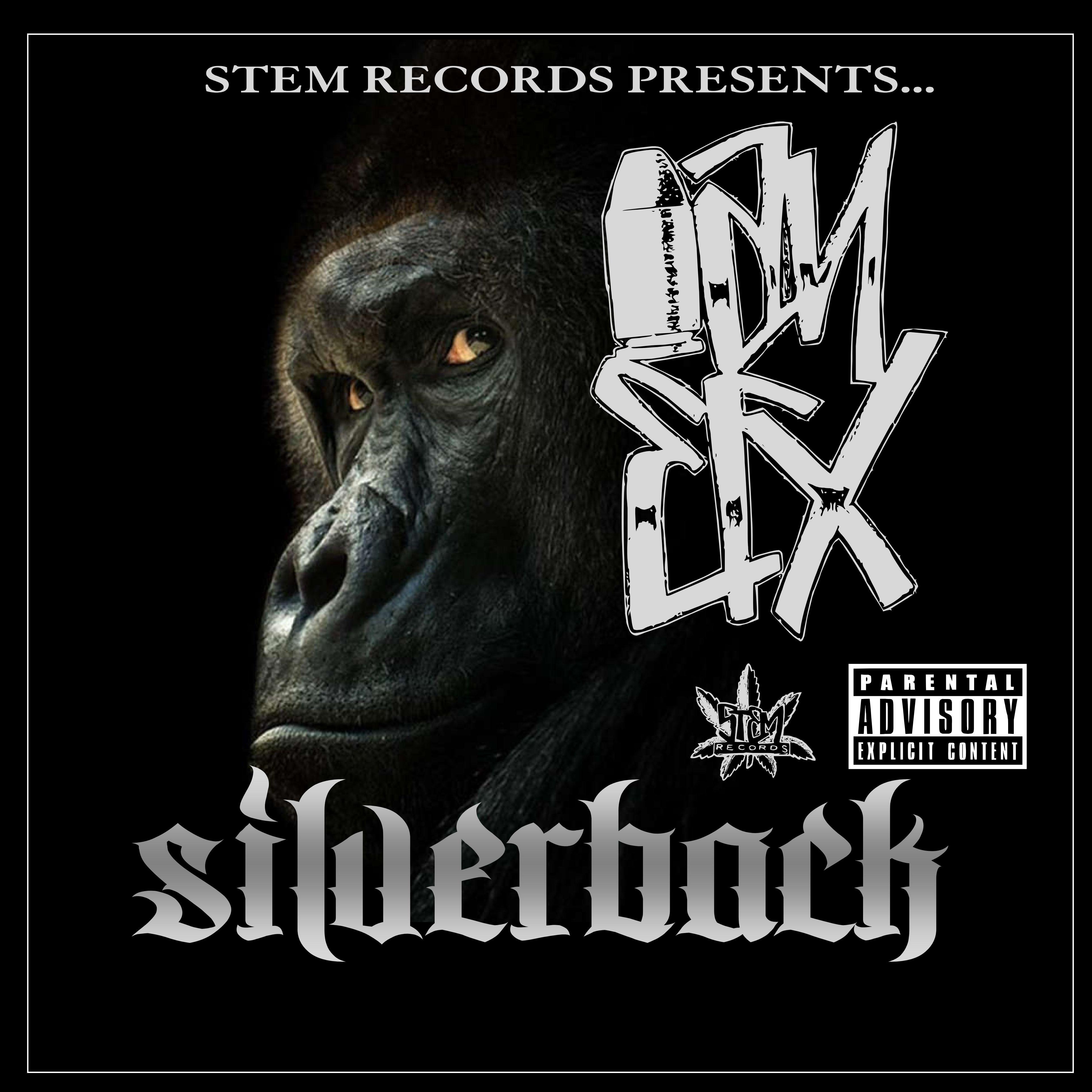Silverback artwork