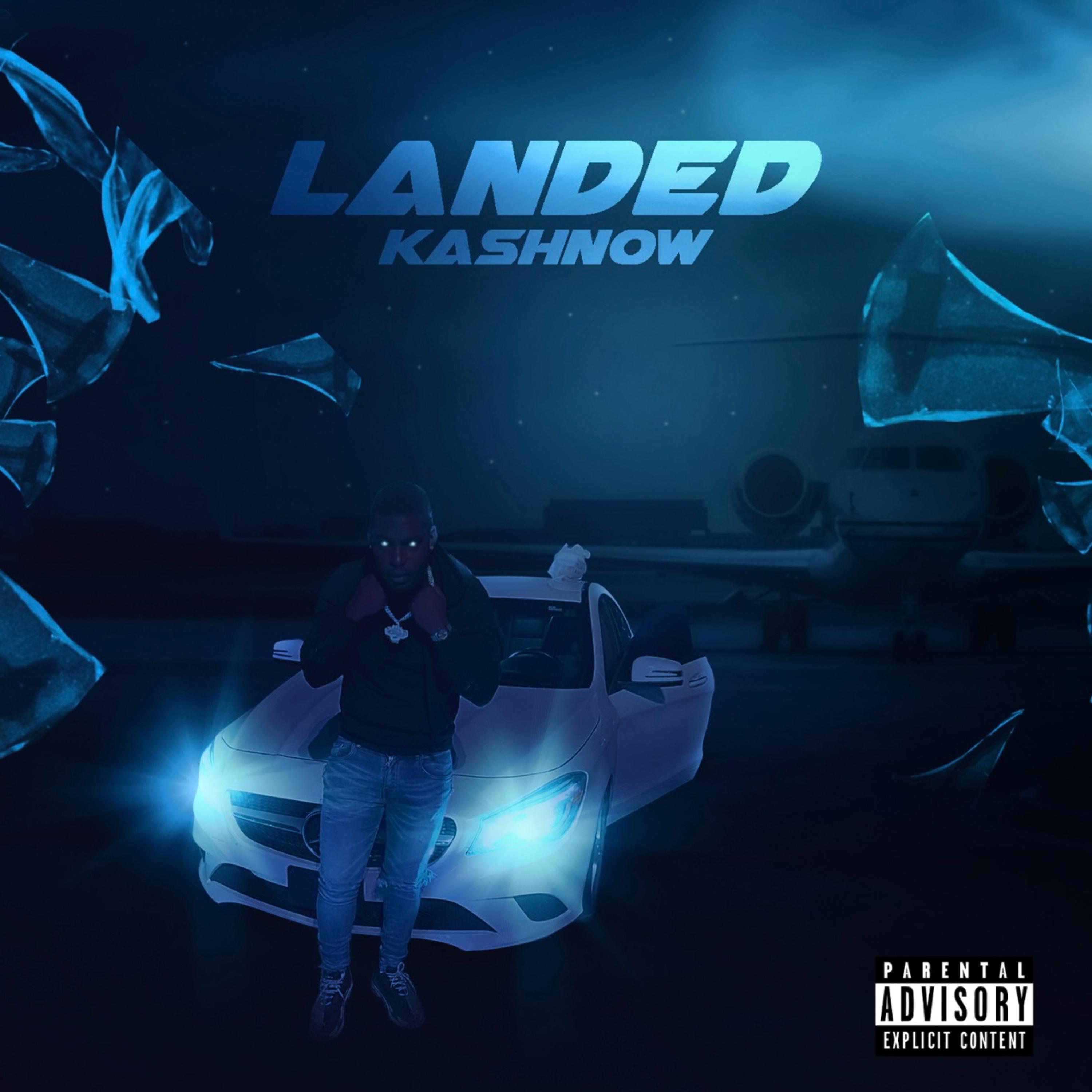 LANDED artwork