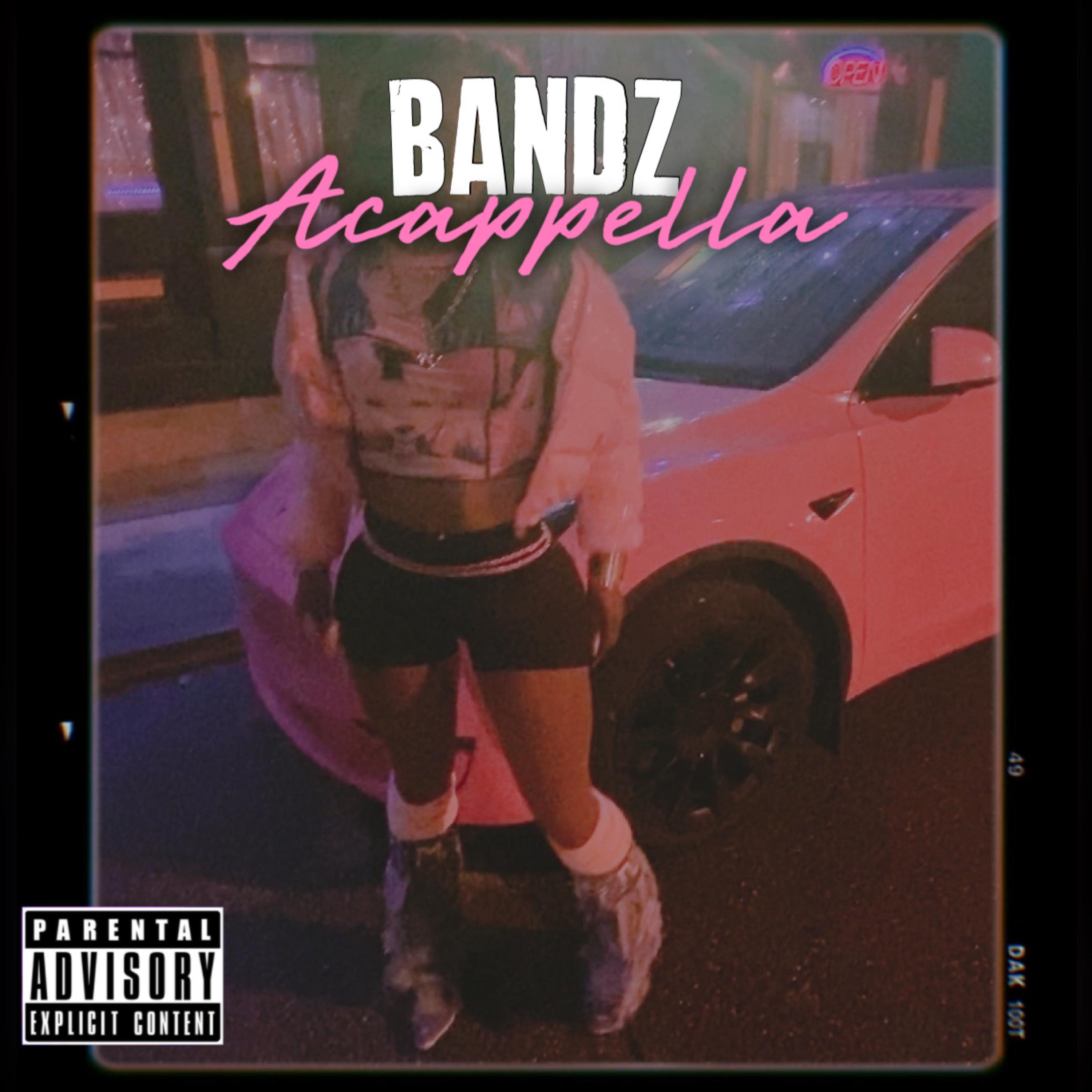 BANDZ (Acappella) artwork