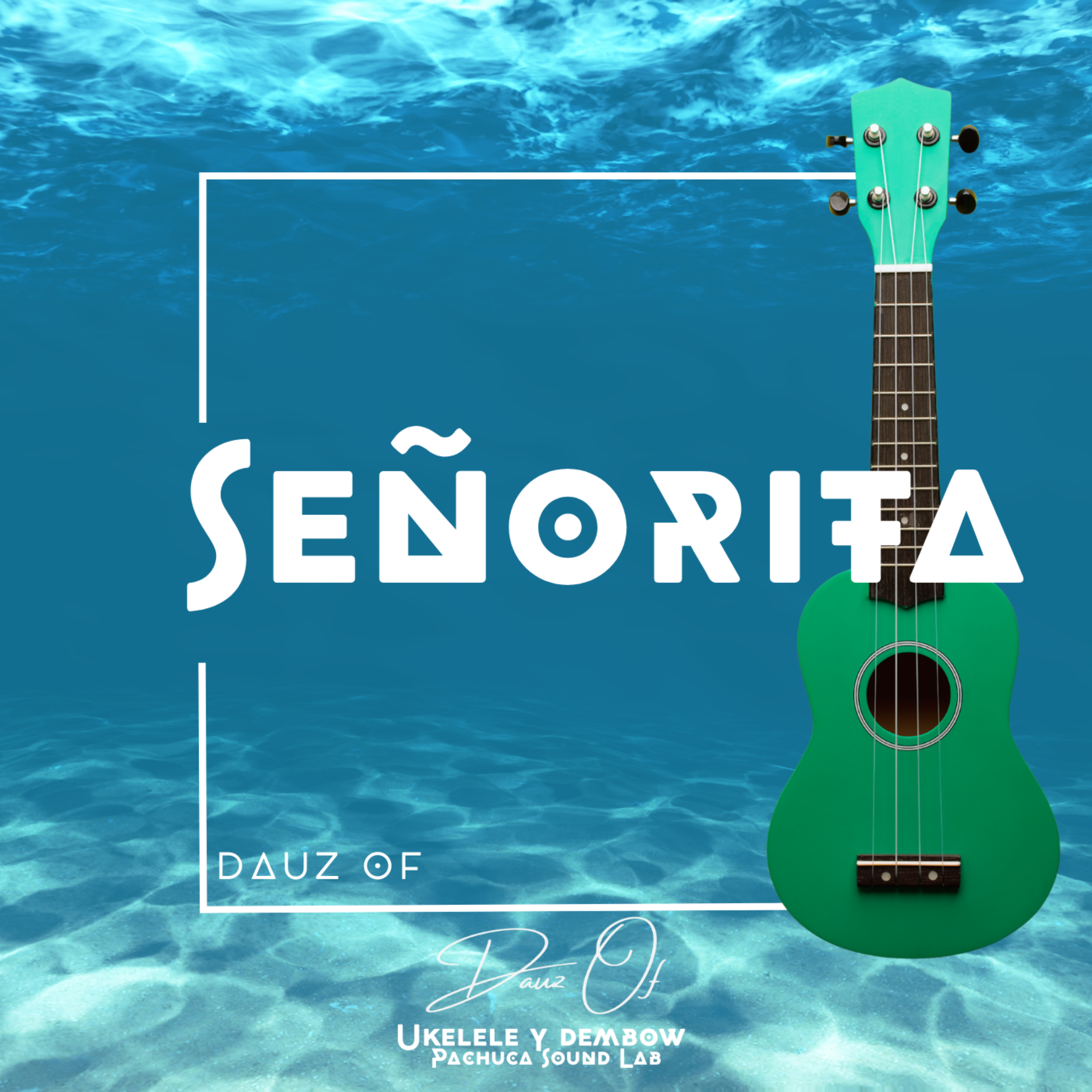 Señorita by DAUZ OF cover art