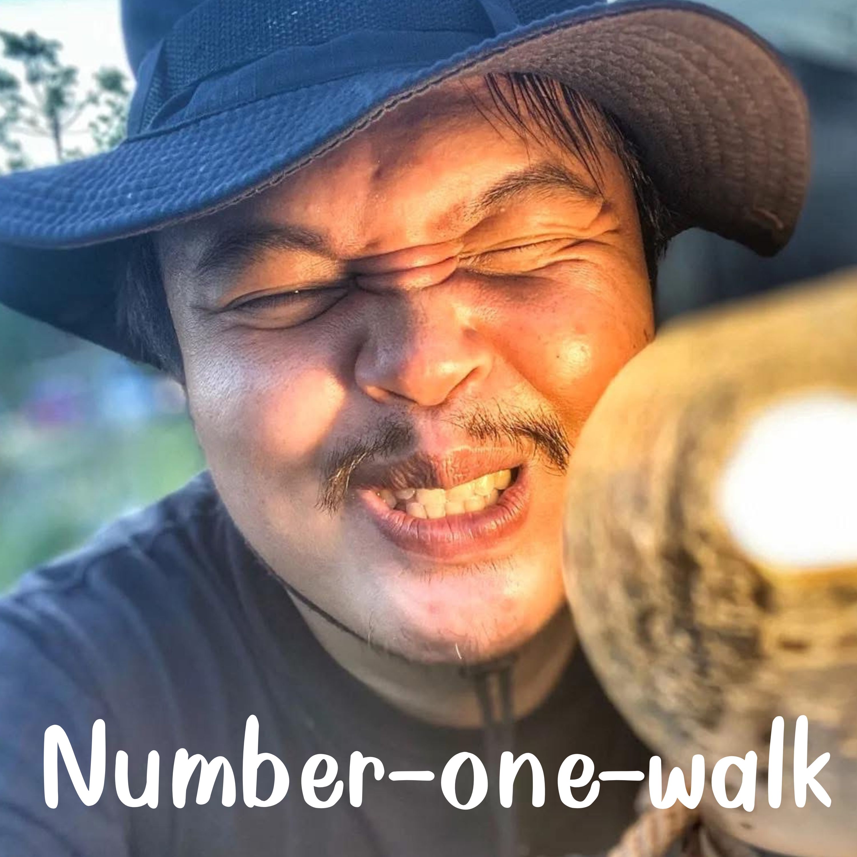 number-one-walk artwork