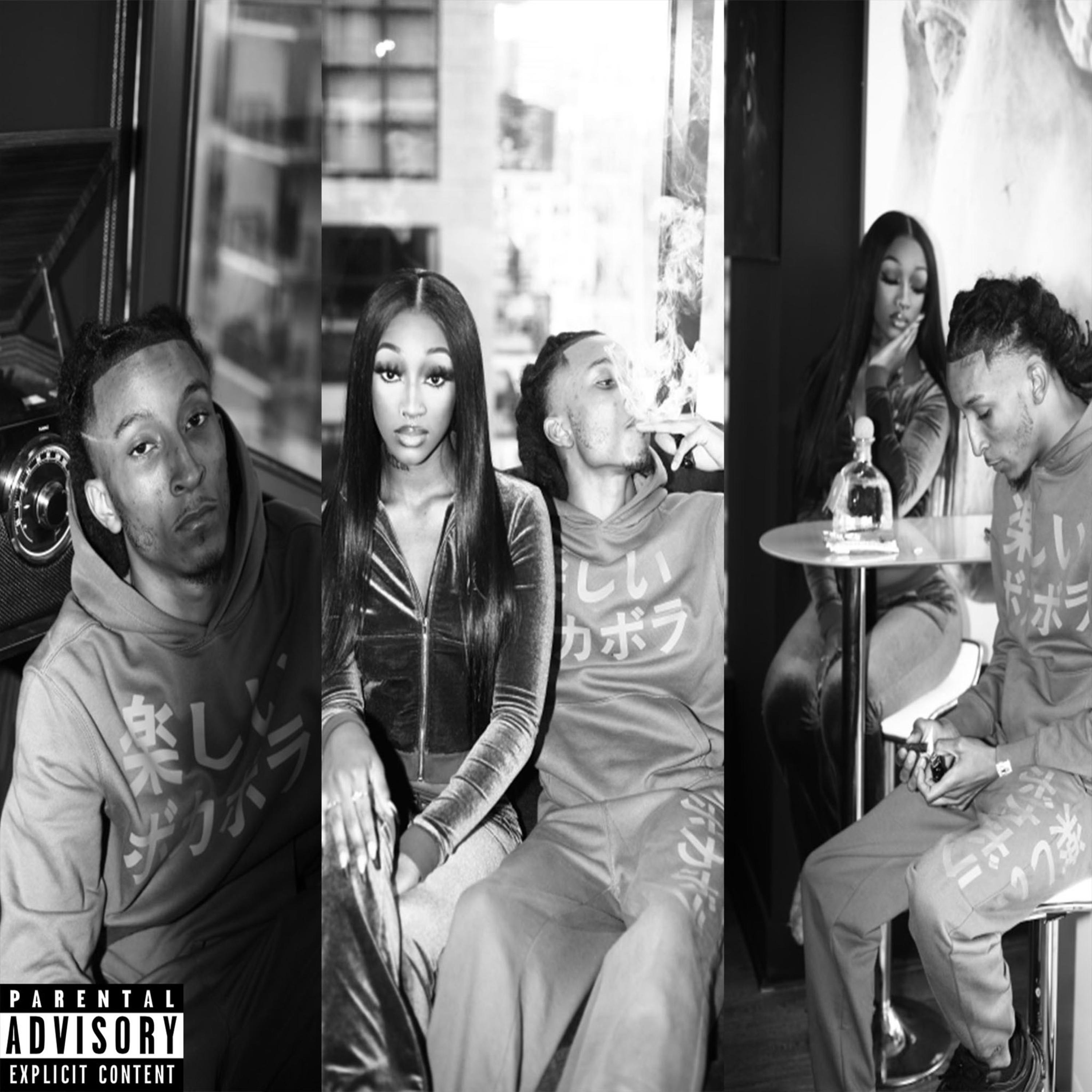 SV3 : King of The Vibes artwork