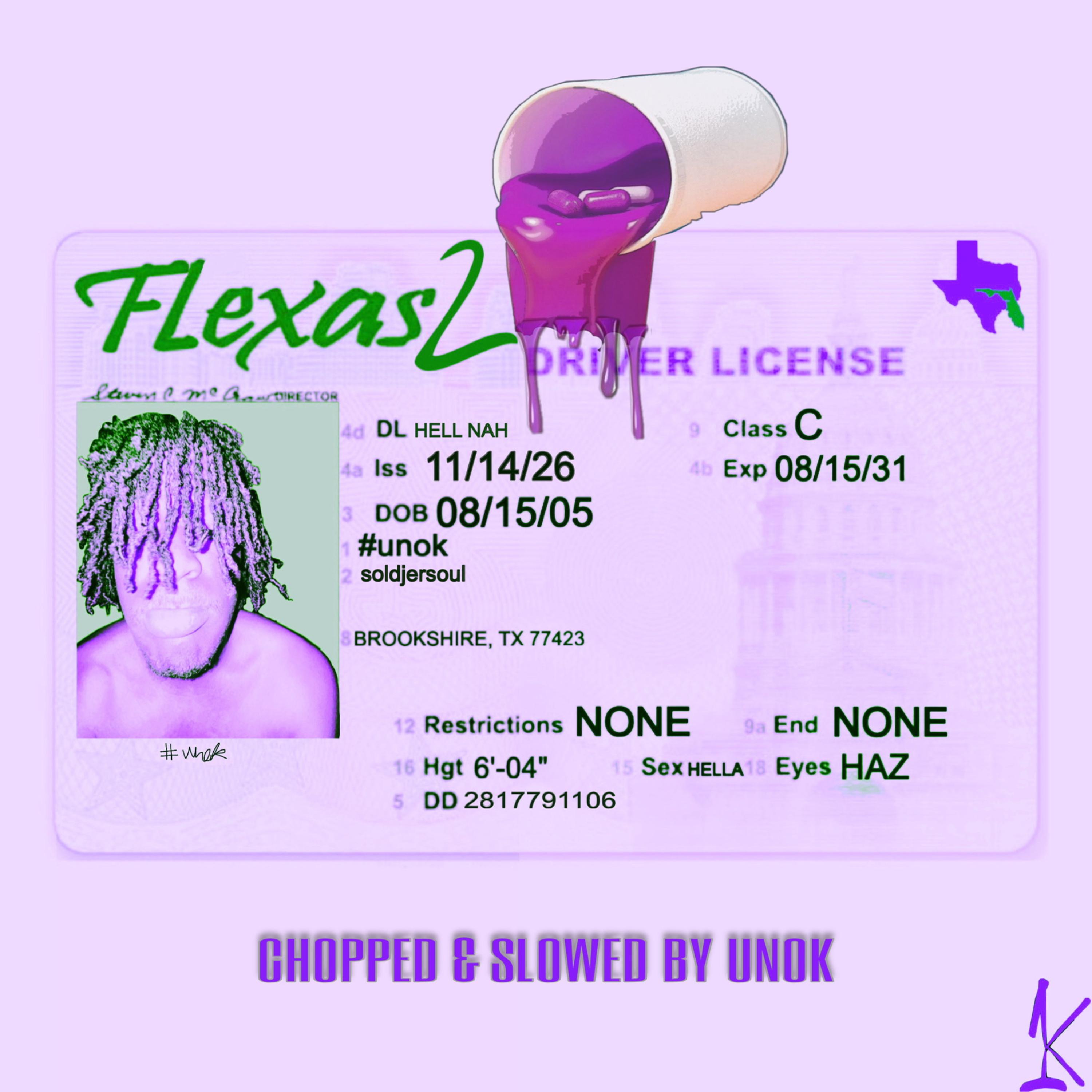 flexas2 [texas edition] by unok cover art